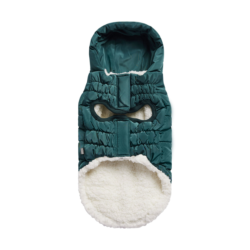 The Puff Parka - Teal by GF Pet.us
