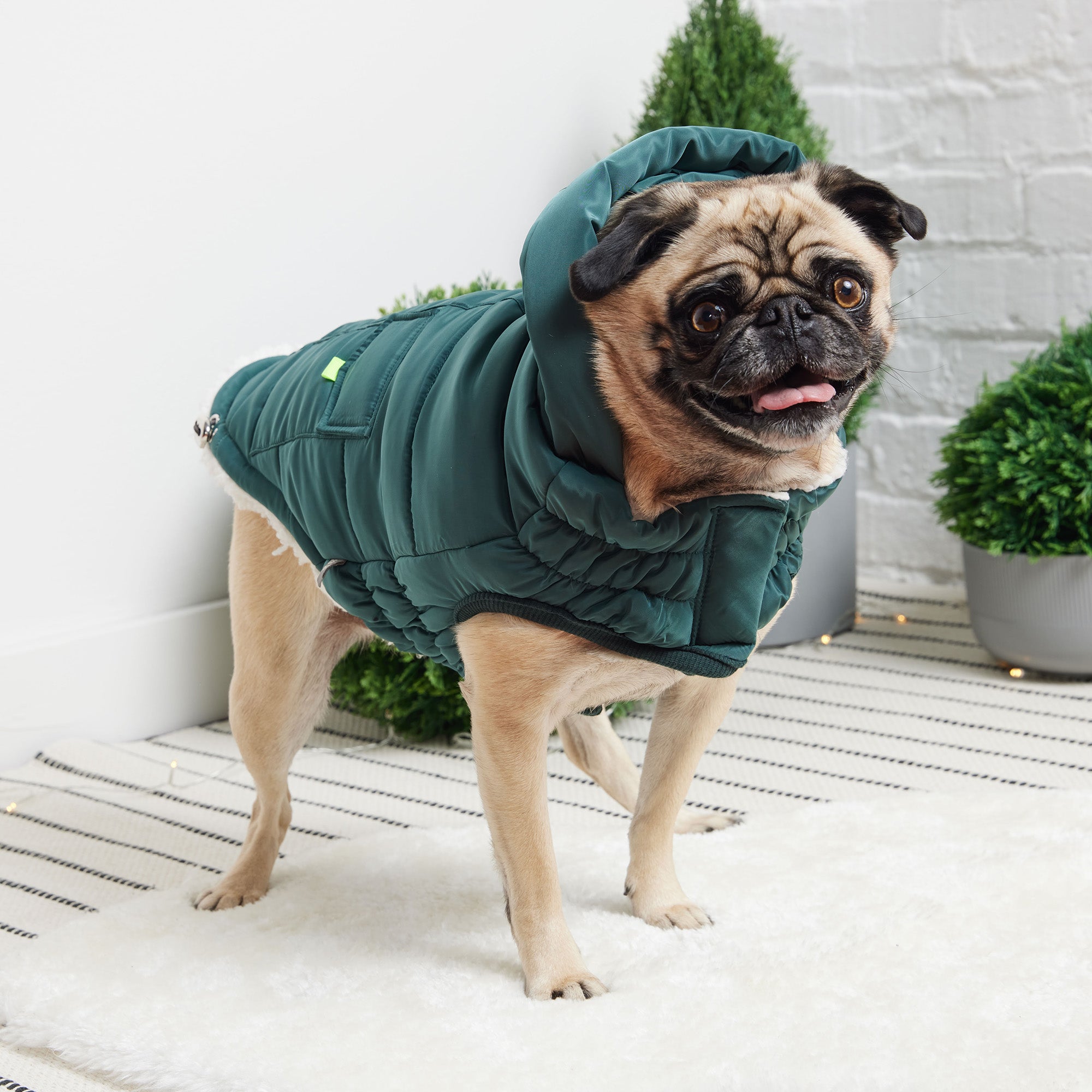 The Puff Parka - Teal by GF Pet.us