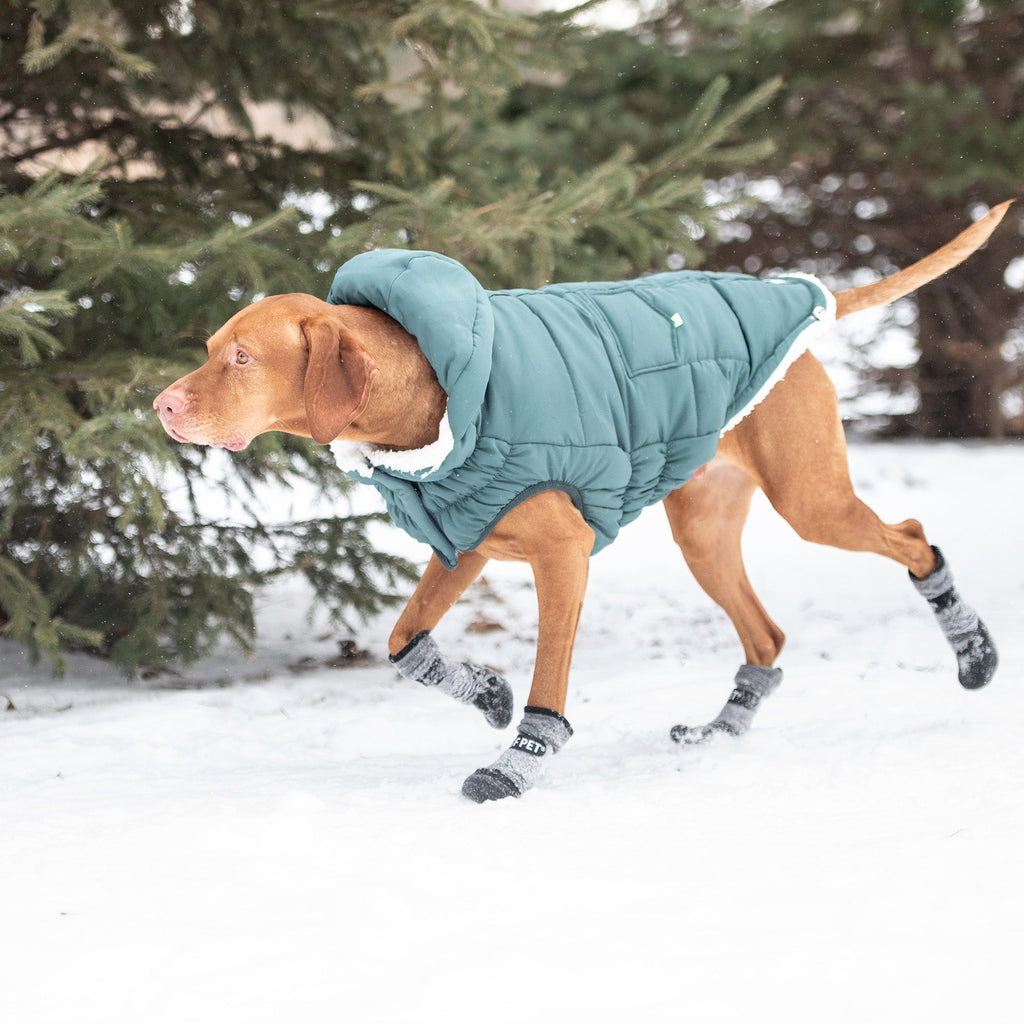 The Puff Parka - Teal by GF Pet.us