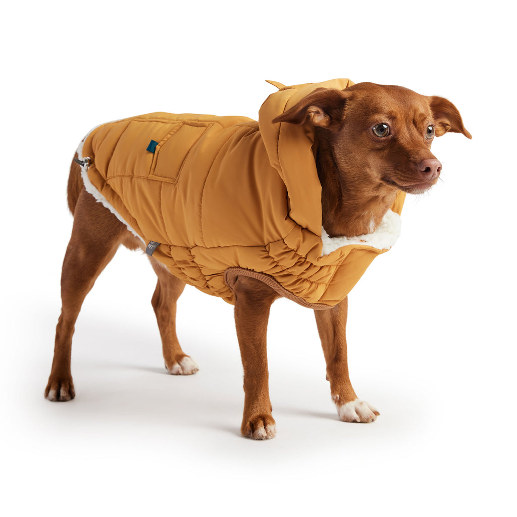 The Puff Parka - Yellow by GF Pet.us