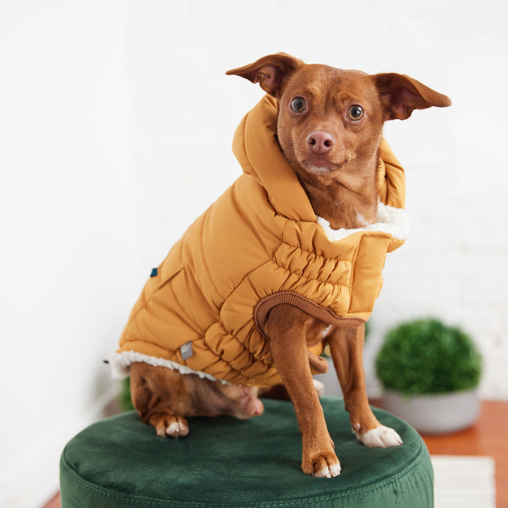 The Puff Parka - Yellow by GF Pet.us