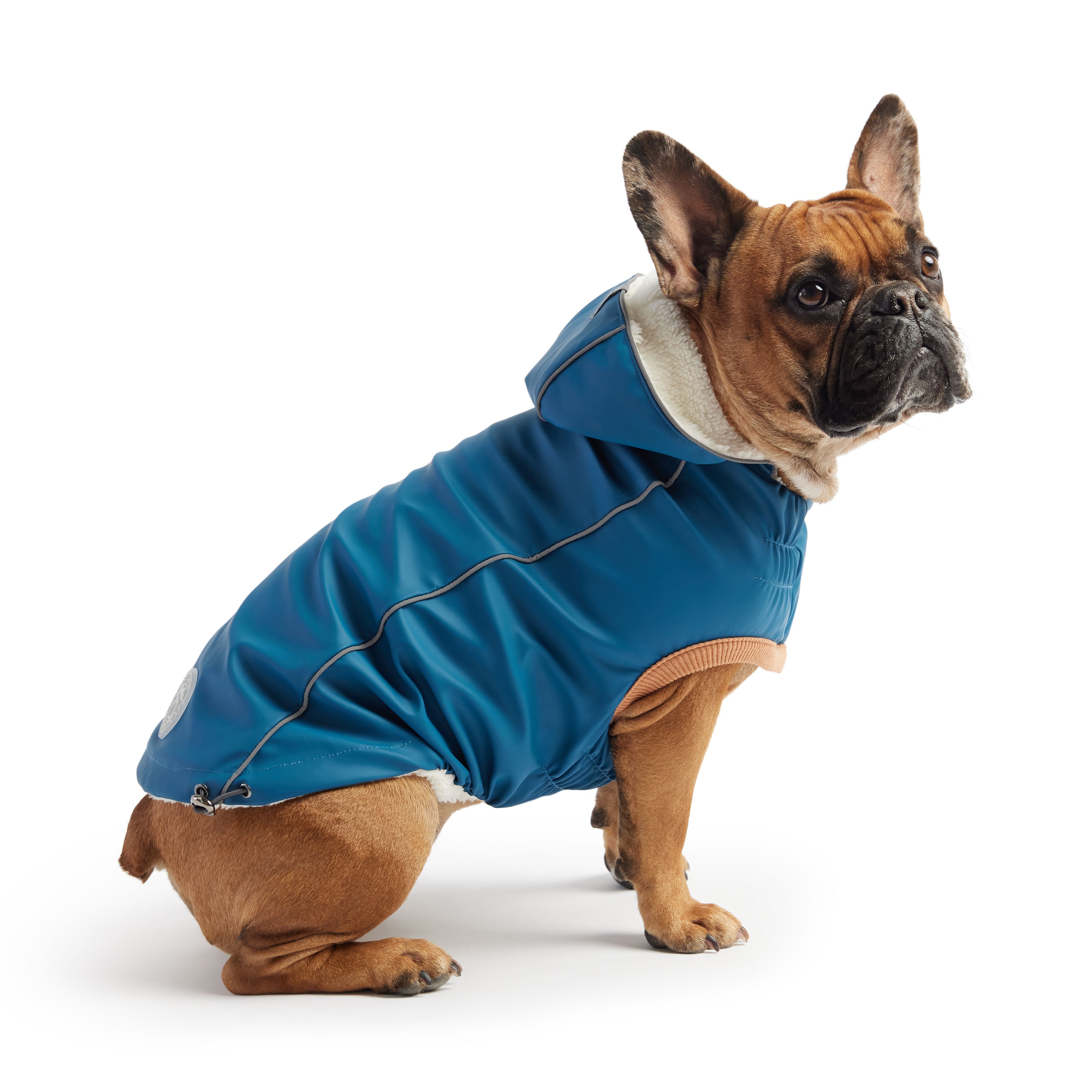 Insulated Raincoat - Dark Blue by GF Pet.us