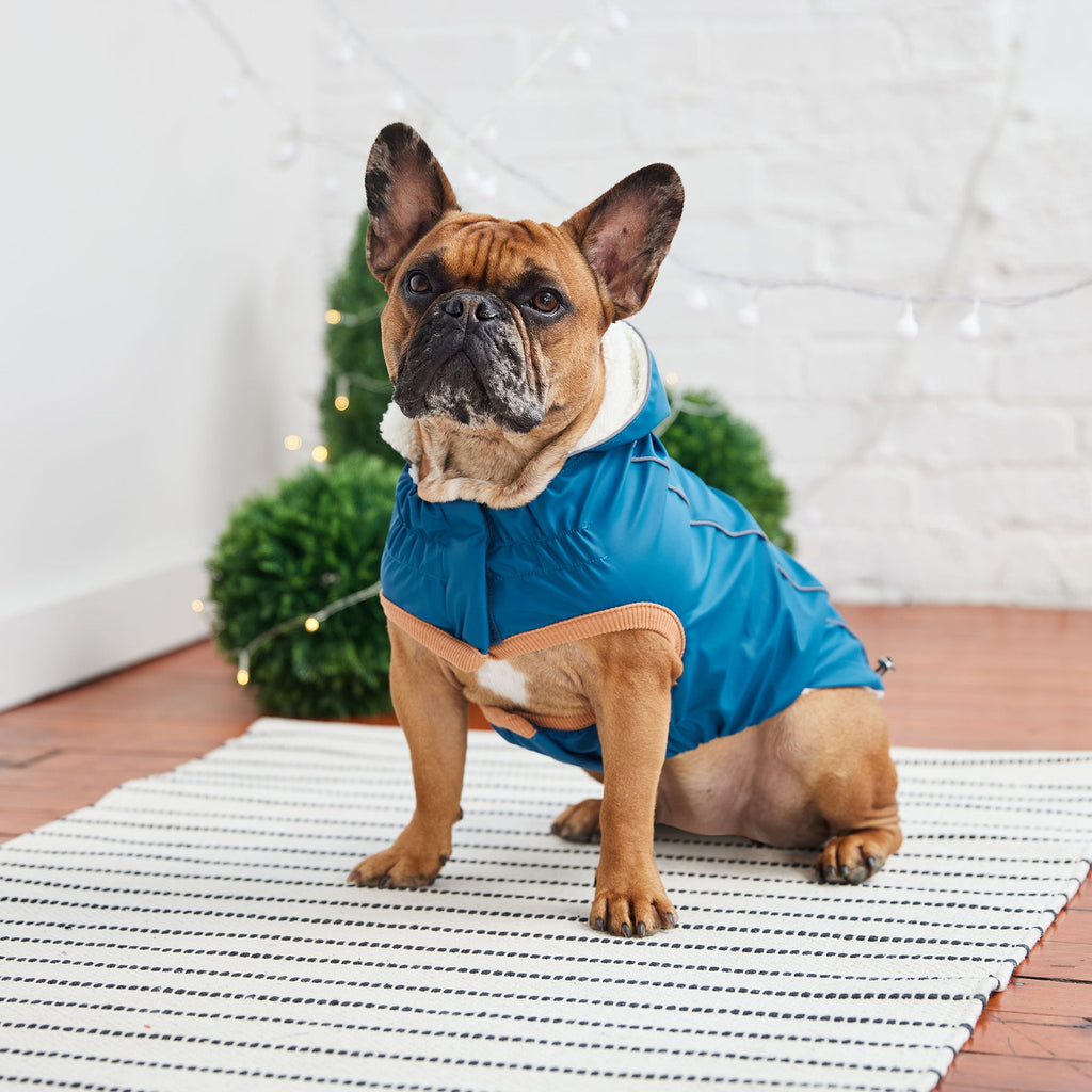 Insulated Raincoat - Dark Blue by GF Pet.us