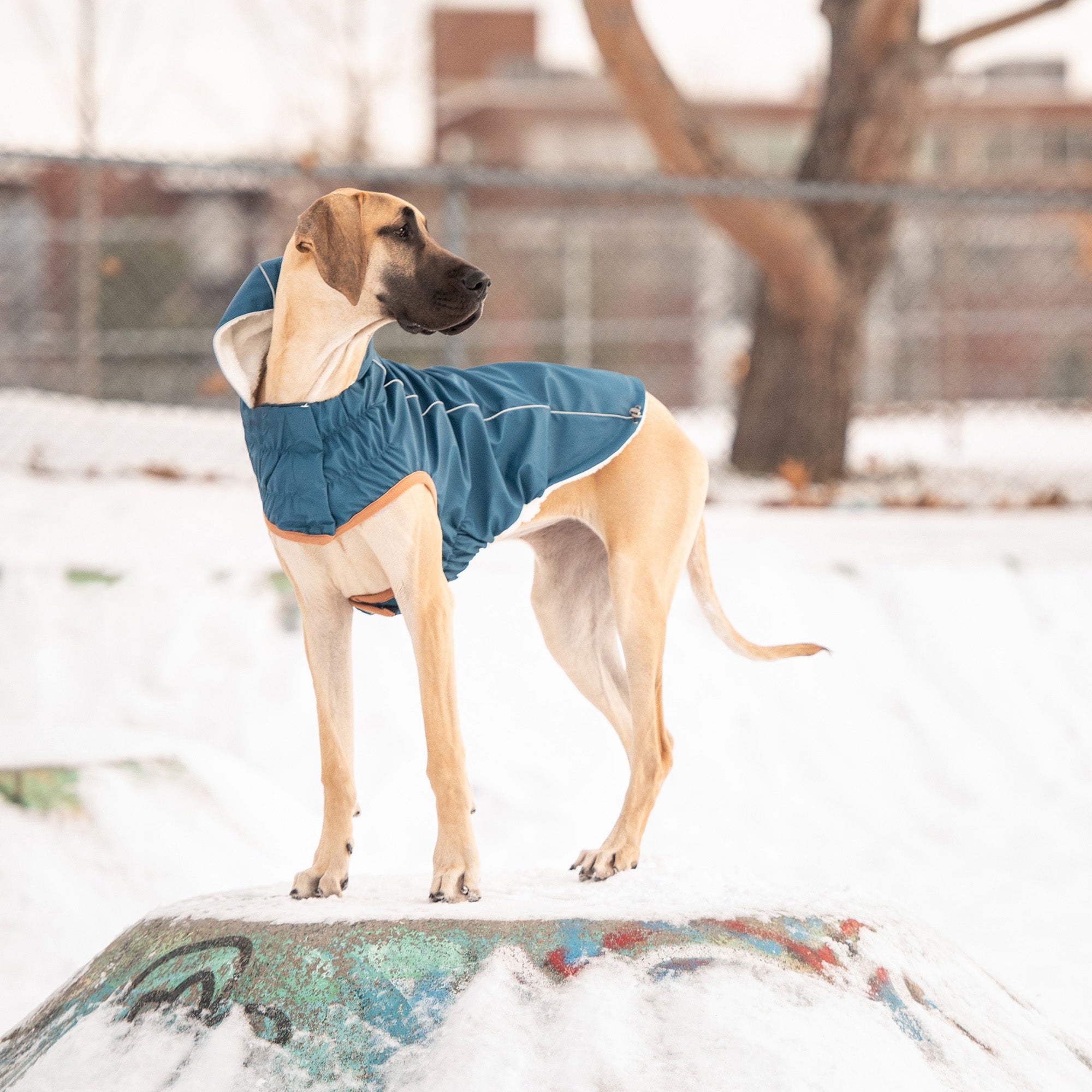Insulated Raincoat - Dark Blue by GF Pet.us