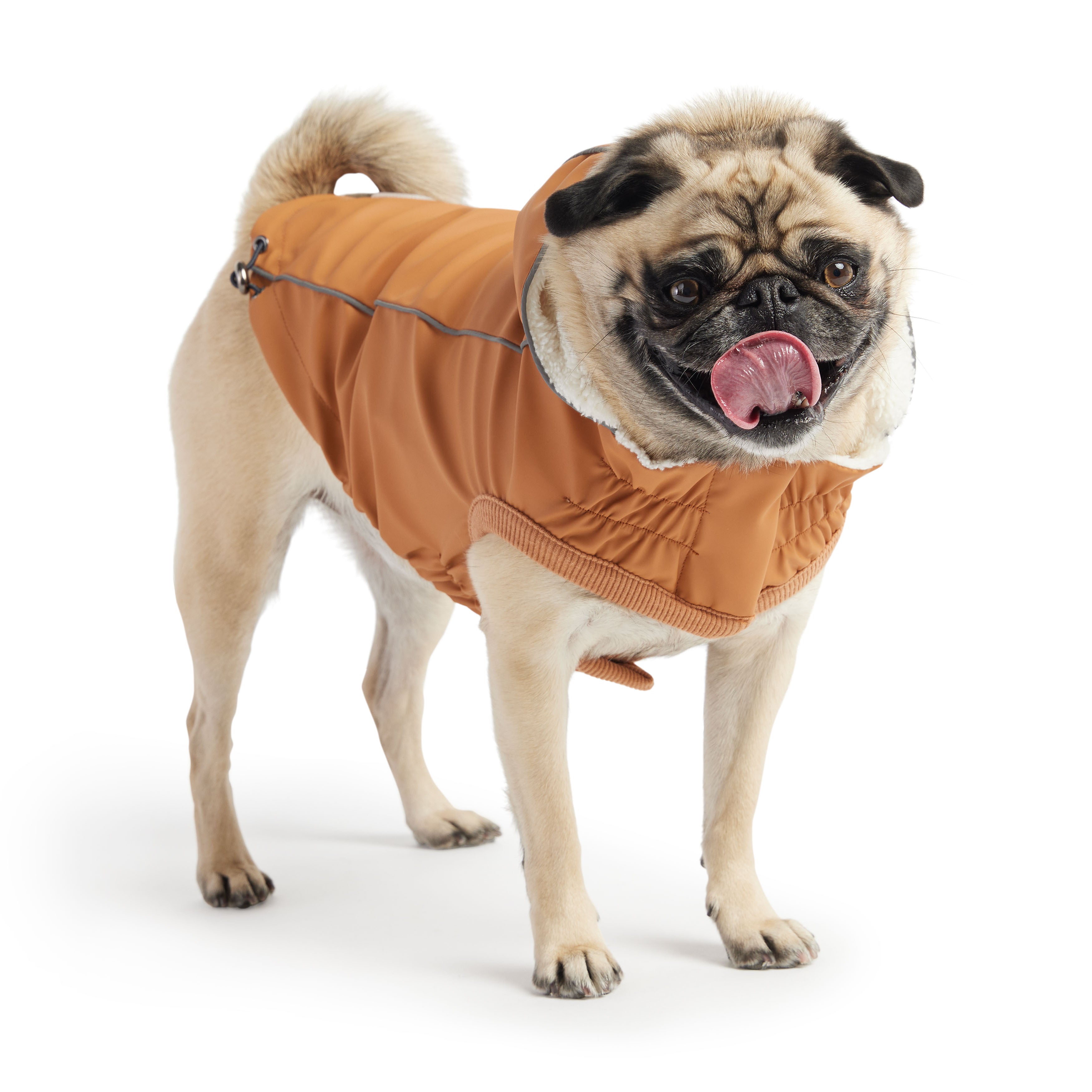 Insulated Raincoat - Hazel by GF Pet.us