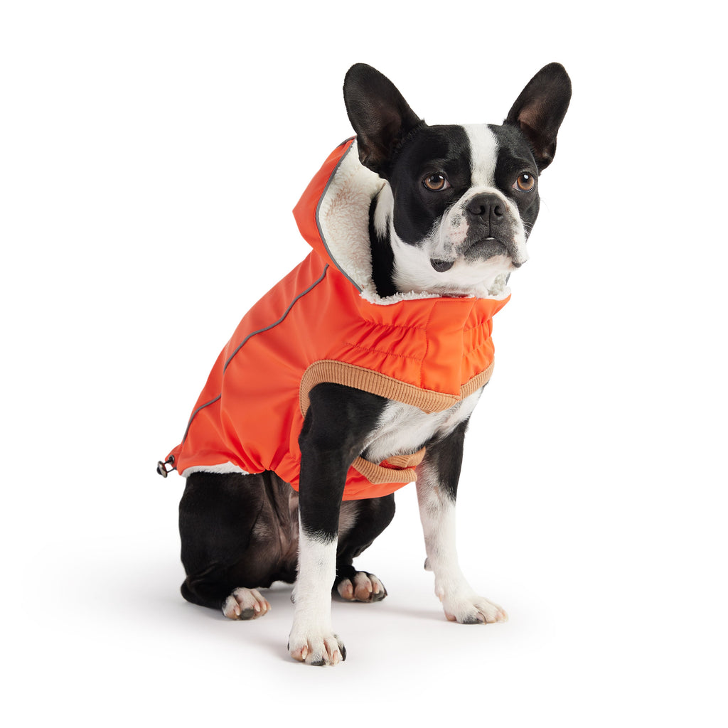 Insulated Raincoat - Orange by GF Pet.us