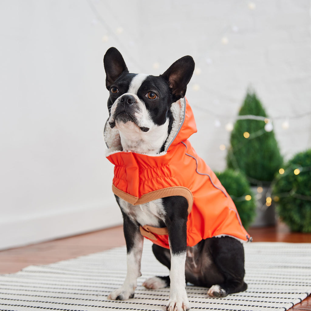 Insulated Raincoat - Orange by GF Pet.us