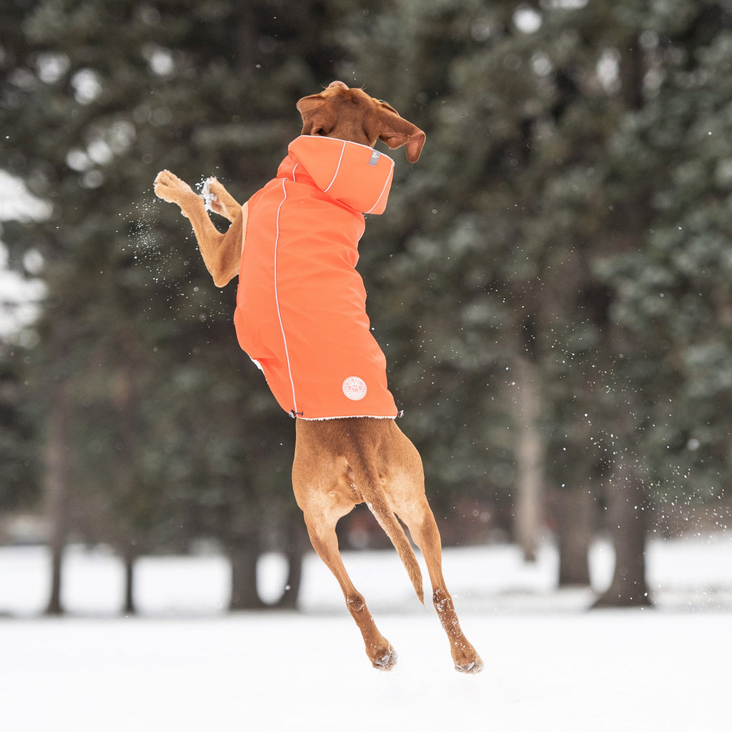 Insulated Raincoat - Orange by GF Pet.us