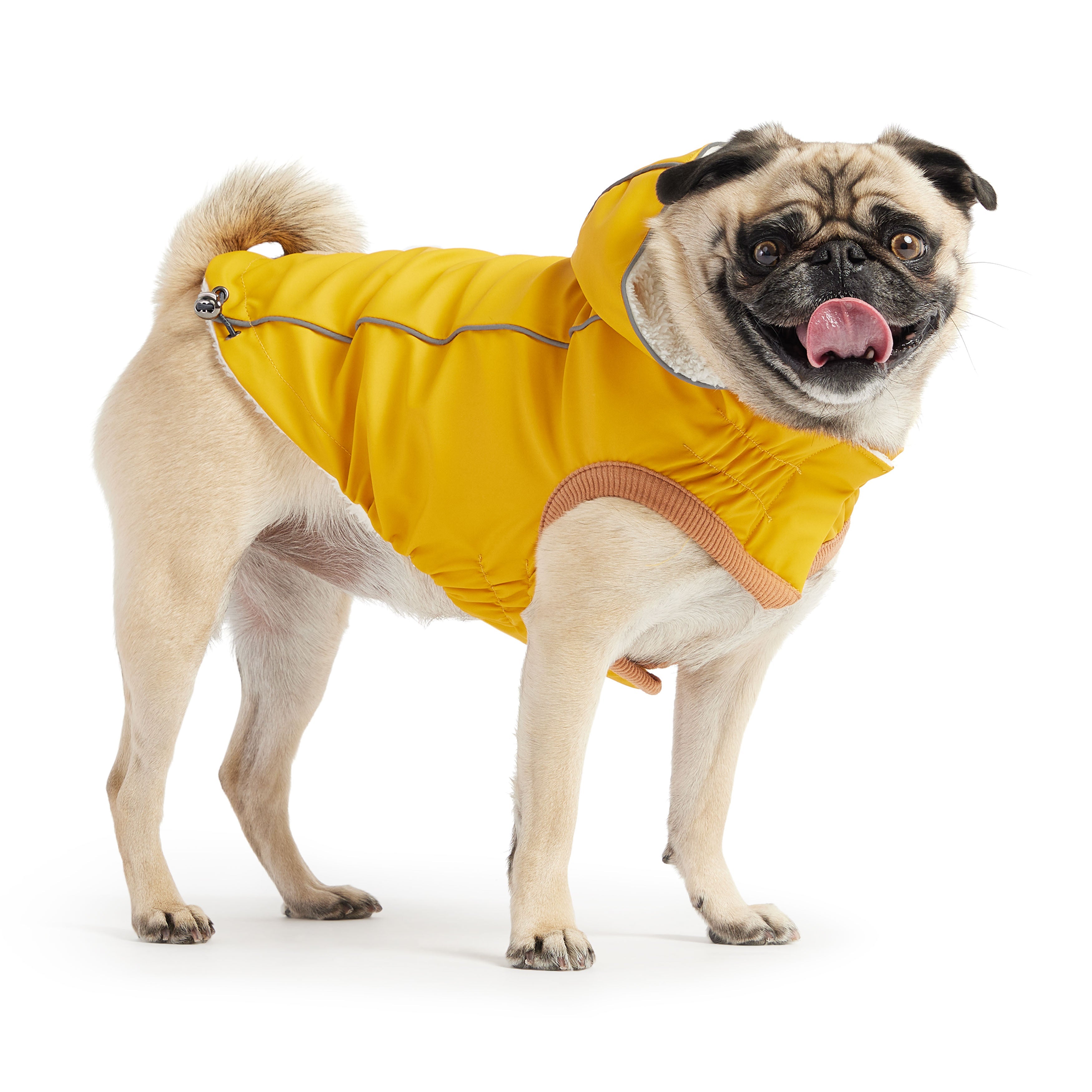 Insulated Raincoat - Yellow by GF Pet.us