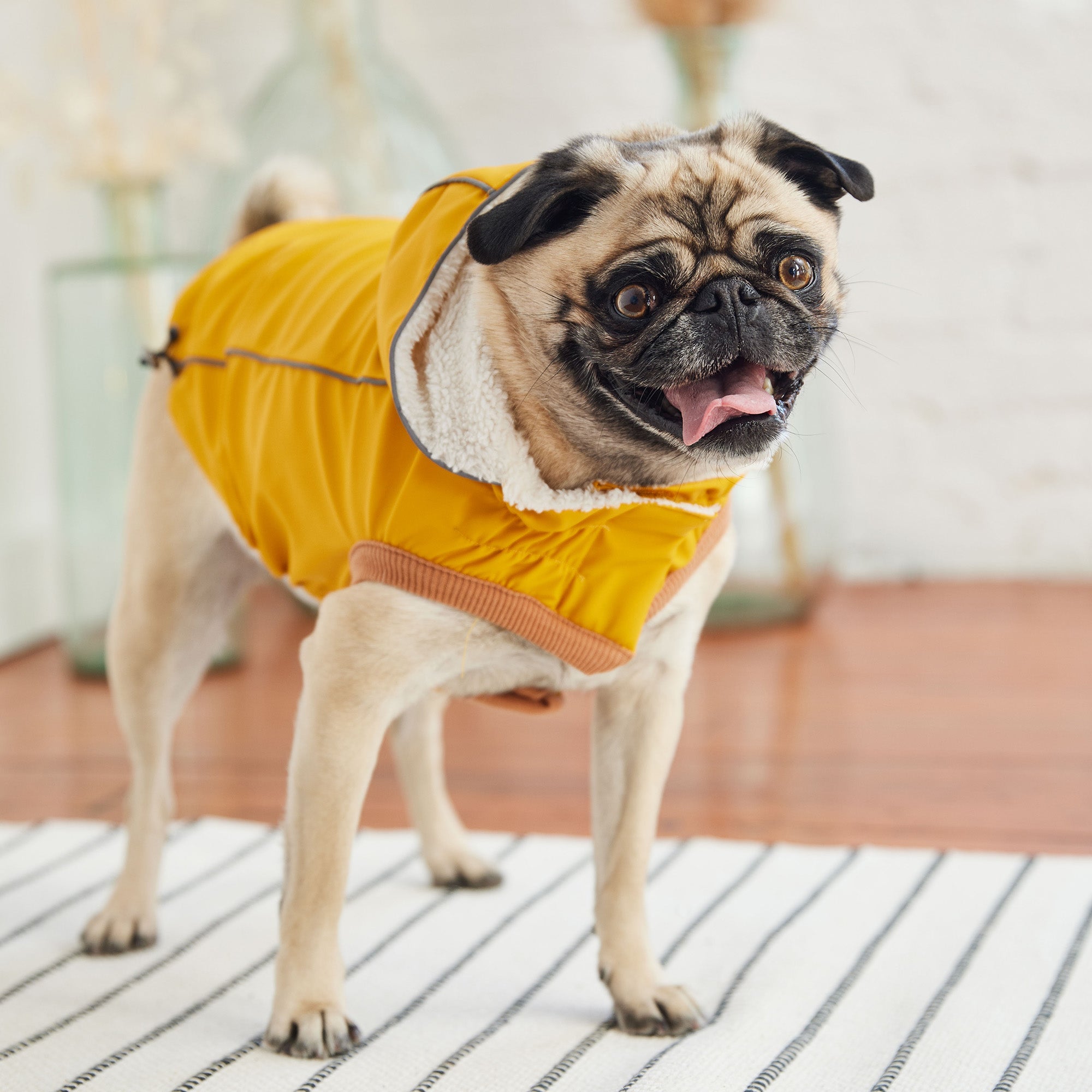 Insulated Raincoat - Yellow by GF Pet.us