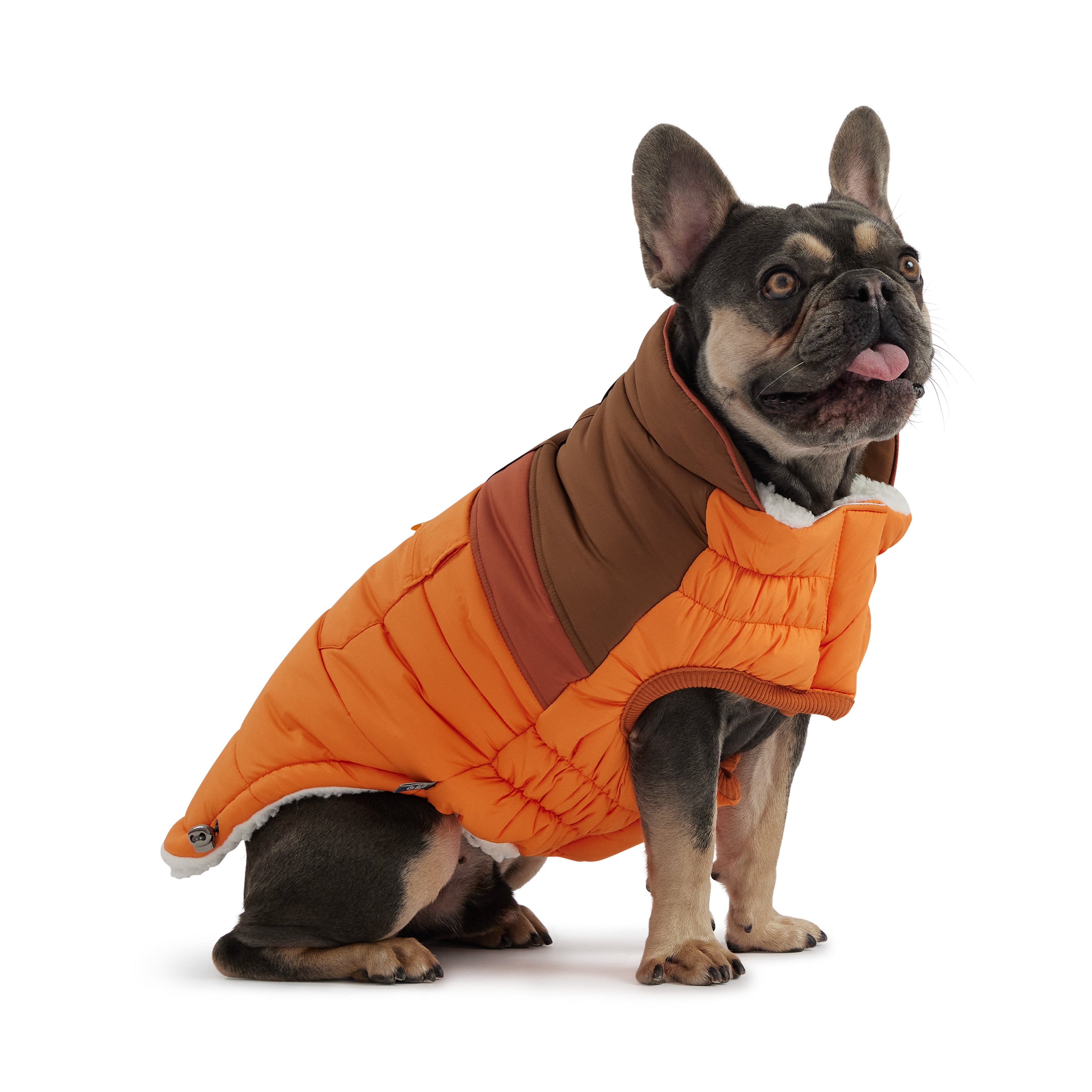 Camplife Puffer - Orange by GF Pet.us