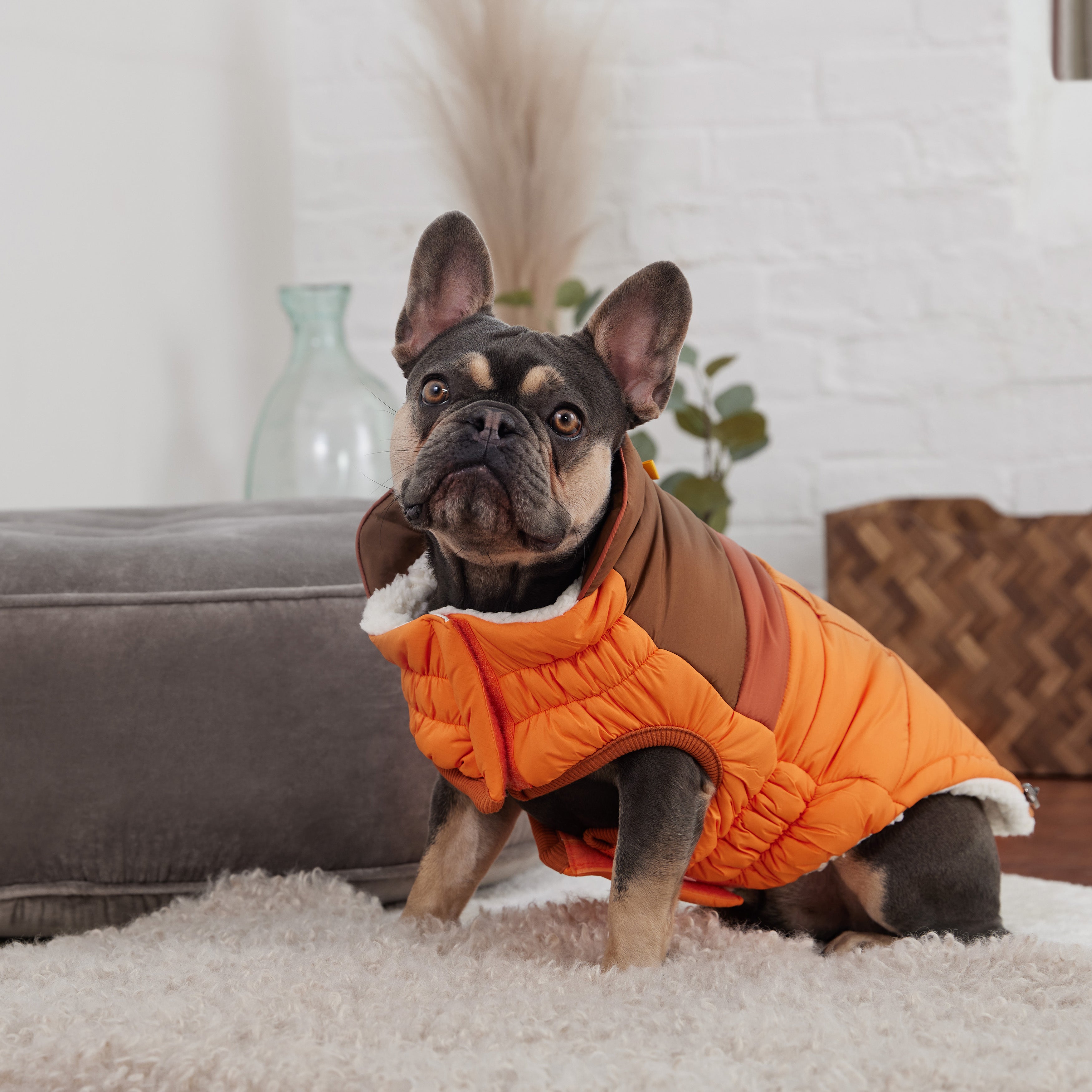Camplife Puffer - Orange by GF Pet.us
