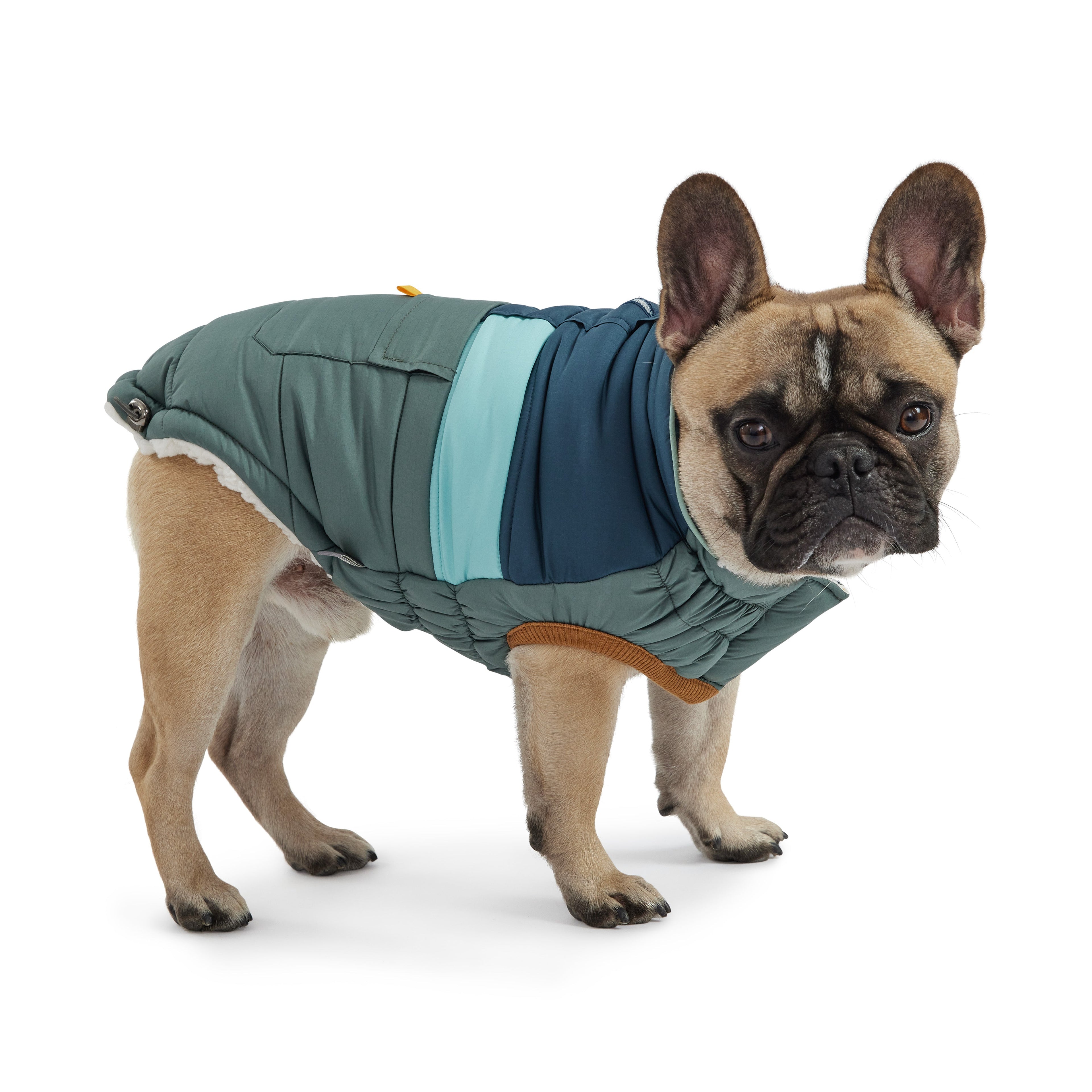 Camplife Puffer - Sage by GF Pet.us