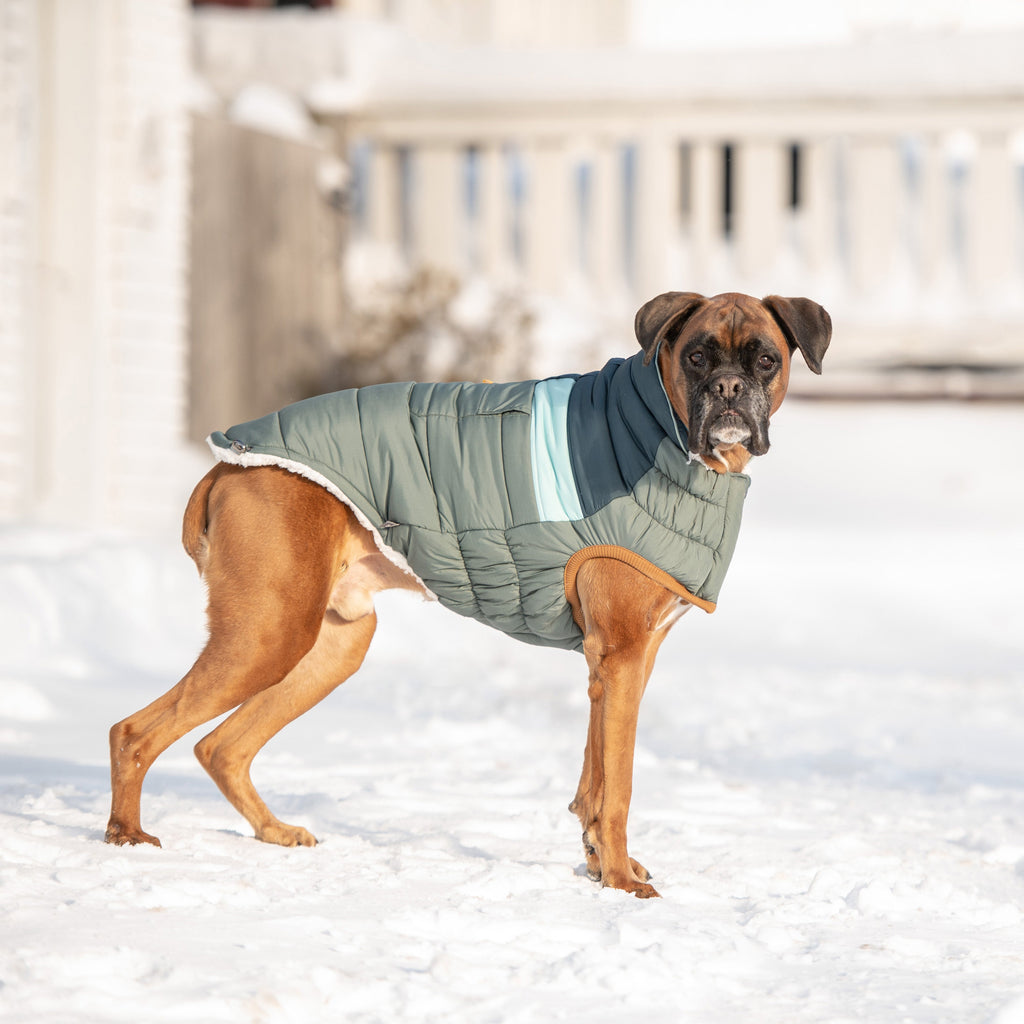 Camplife Puffer - Sage by GF Pet.us