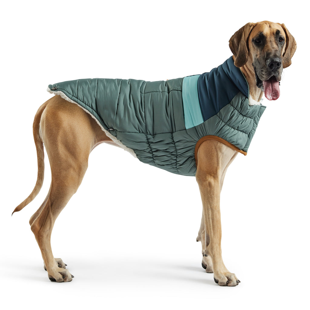 Camplife Puffer - Sage by GF Pet.us