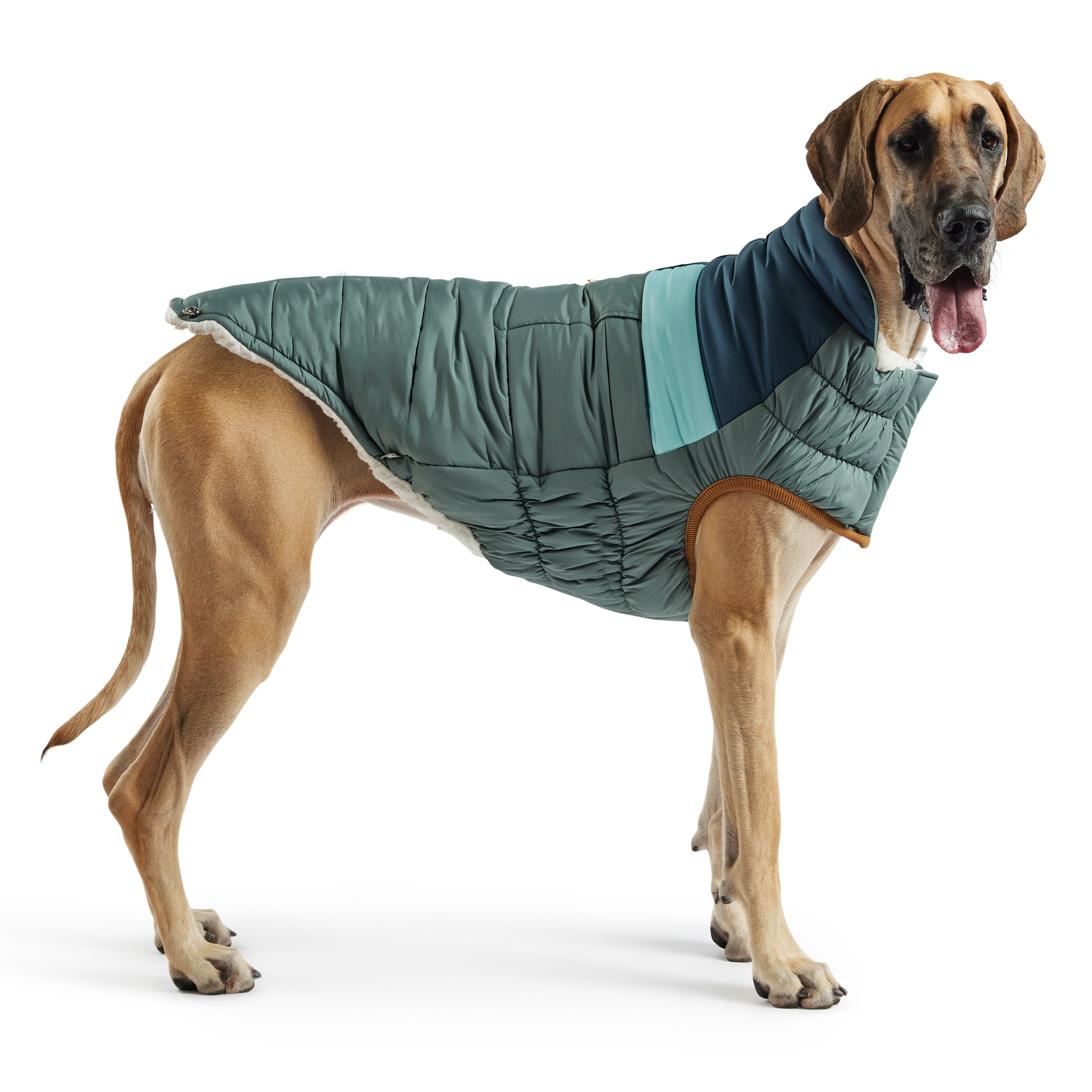 Camplife Puffer - Sage by GF Pet.us