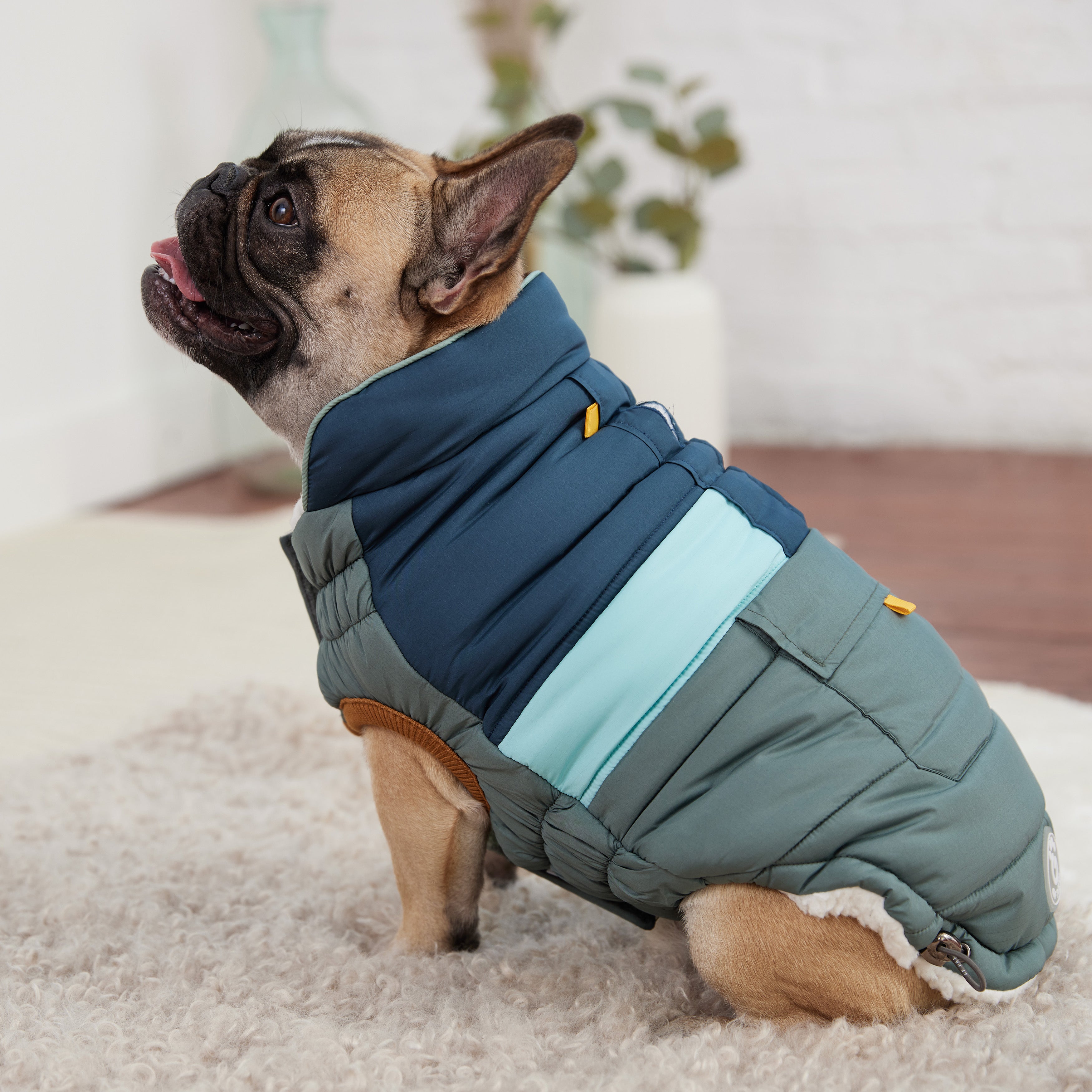Camplife Puffer - Sage by GF Pet.us