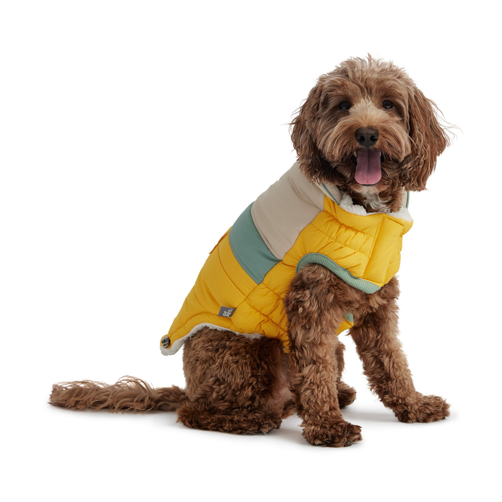 Camplife Puffer - Yellow by GF Pet.us