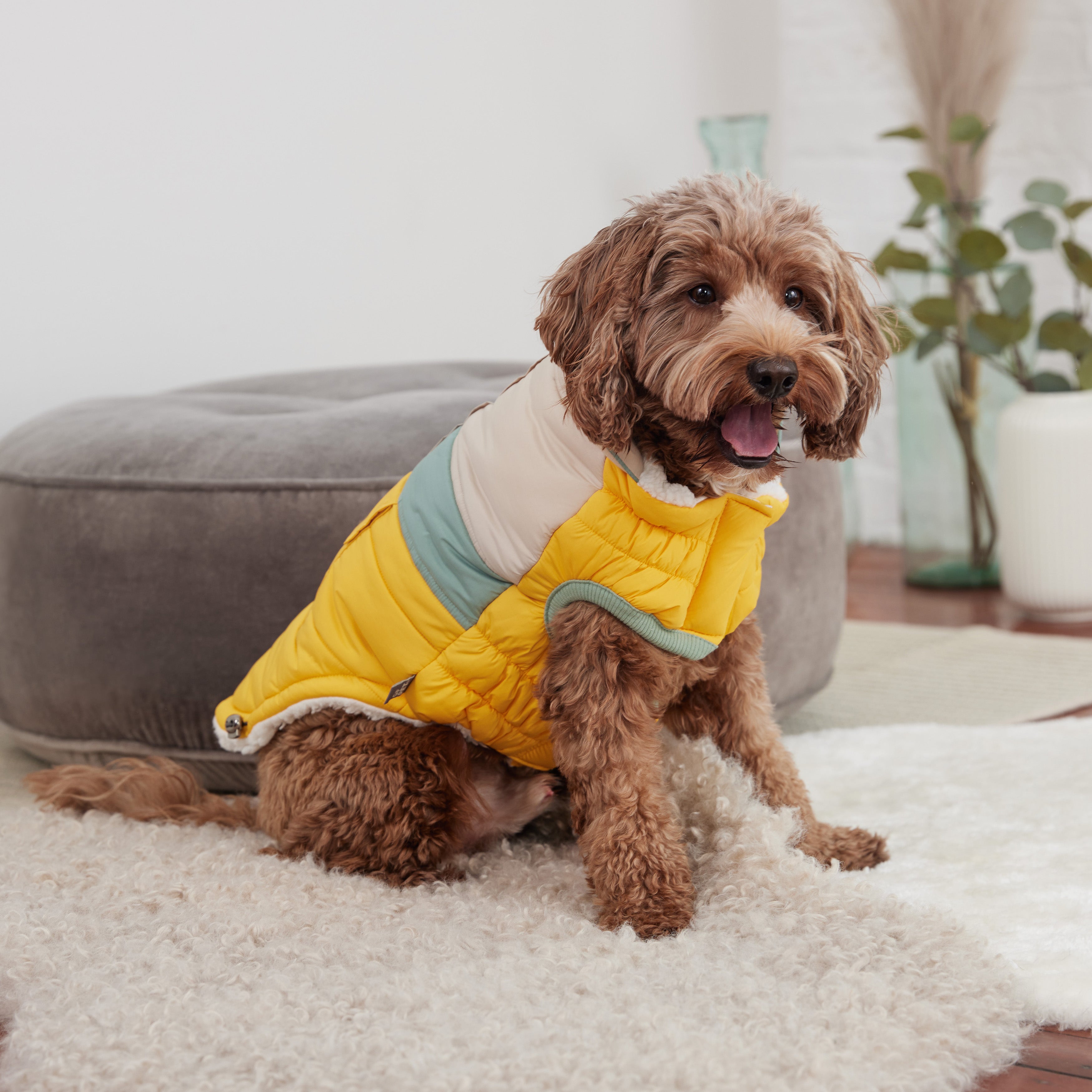 Camplife Puffer - Yellow by GF Pet.us