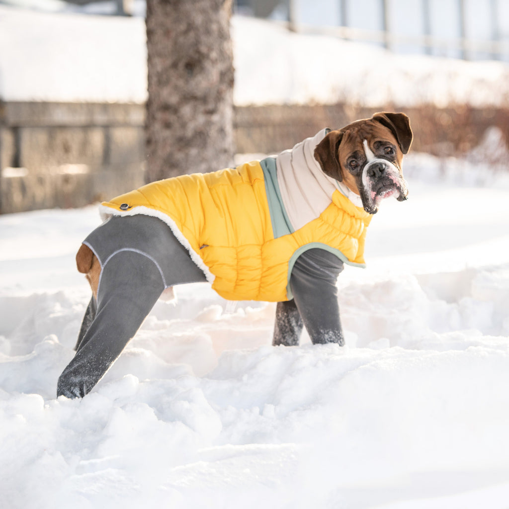 Camplife Puffer - Yellow by GF Pet.us