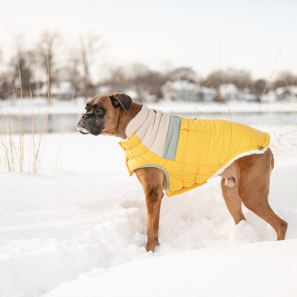 Camplife Puffer - Yellow by GF Pet.us