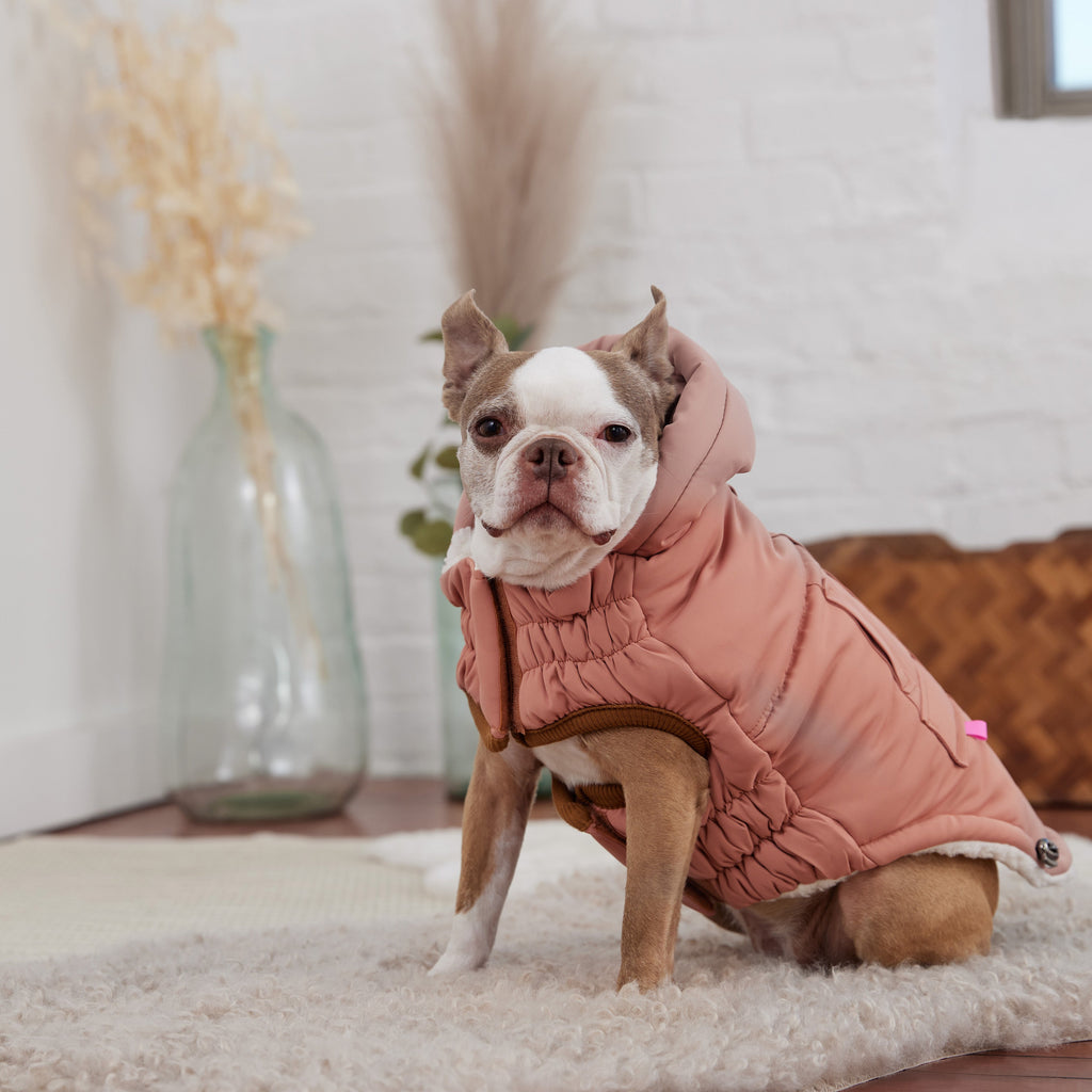 Arctic Parka - Clay by GF Pet.us