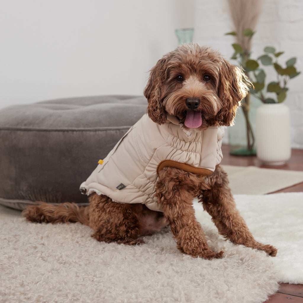 Arctic Parka - Sand by GF Pet.us