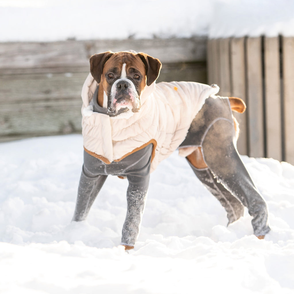 Arctic Parka - Sand by GF Pet.us