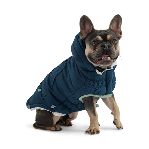 Arctic Parka - Teal by GF Pet.us