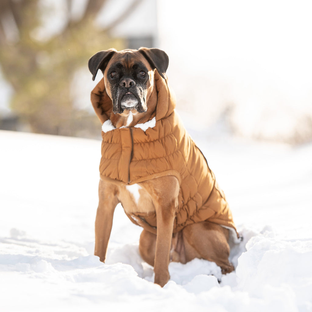 Arctic Parka - Wood by GF Pet.us