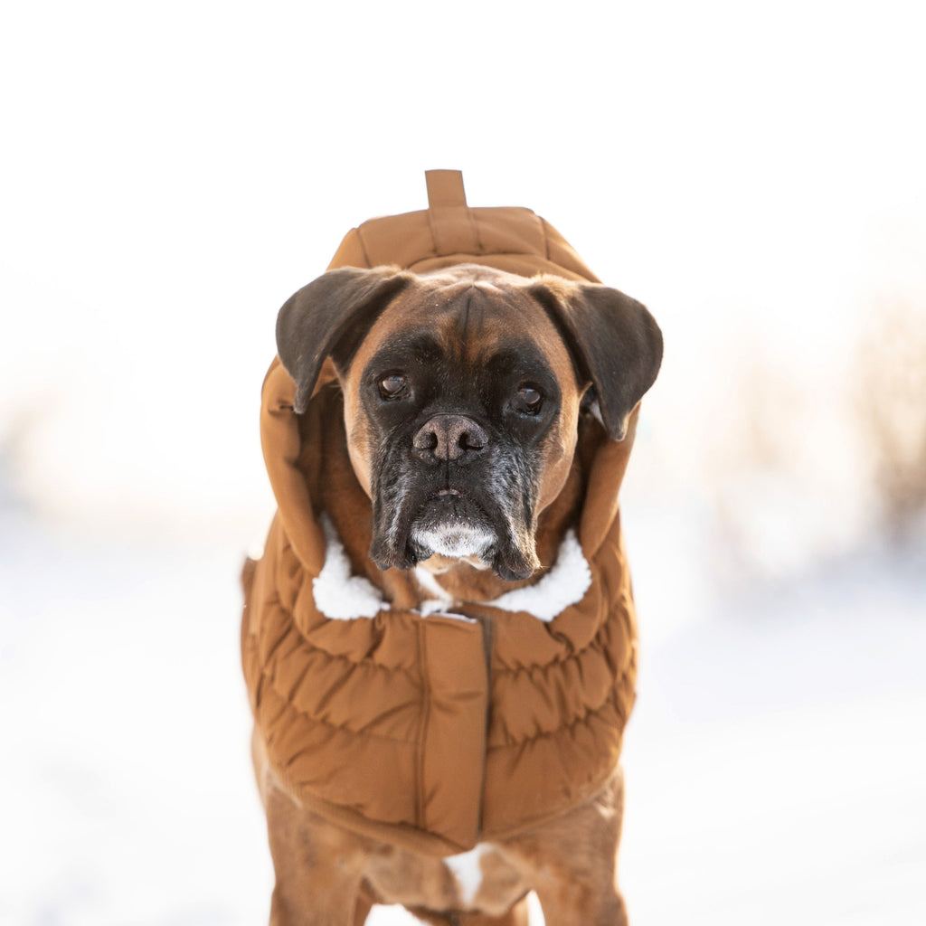 Arctic Parka - Wood by GF Pet.us