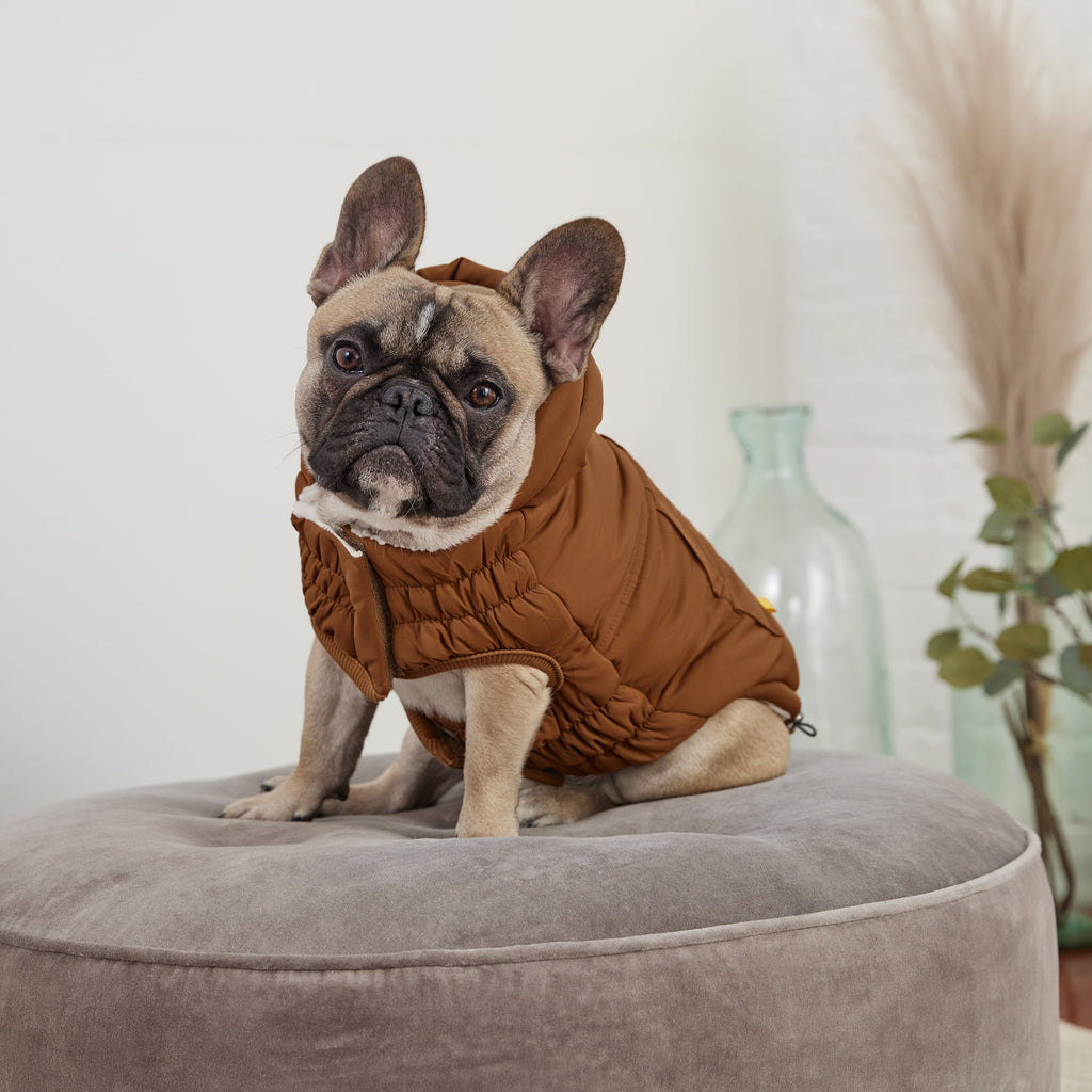 Arctic Parka - Wood by GF Pet.us