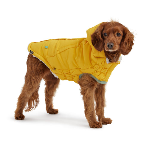 Arctic Parka - Yellow by GF Pet.us