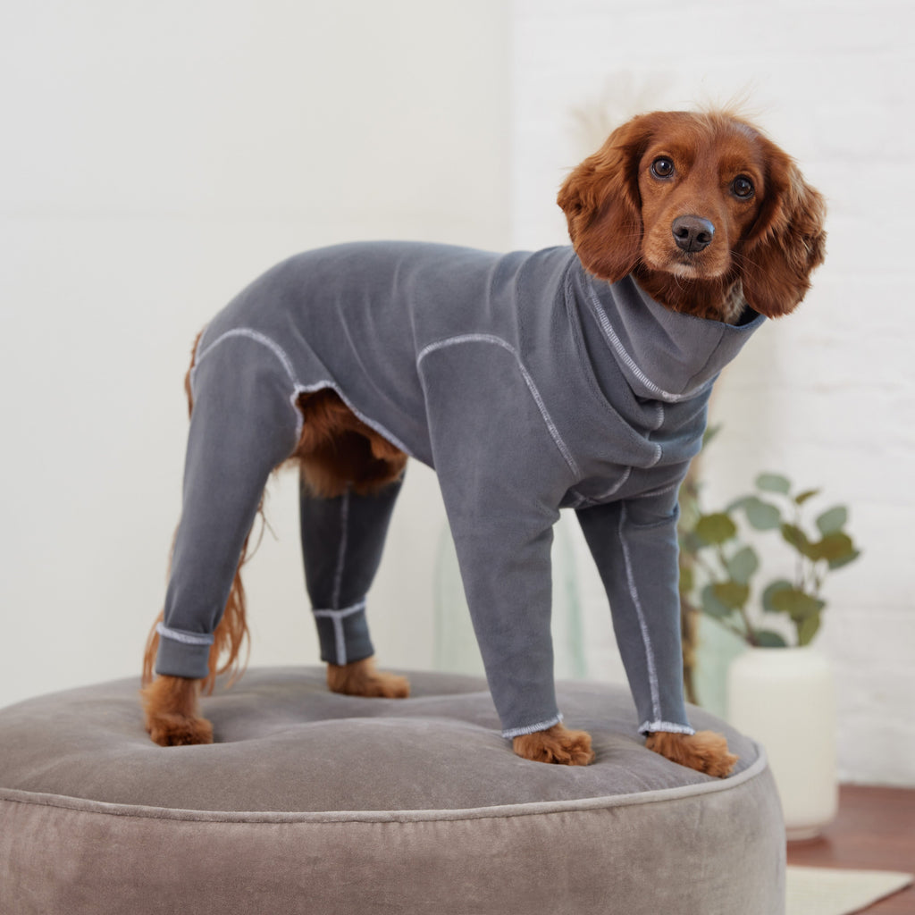 Gondola Onesie - Charcoal by GF Pet.us