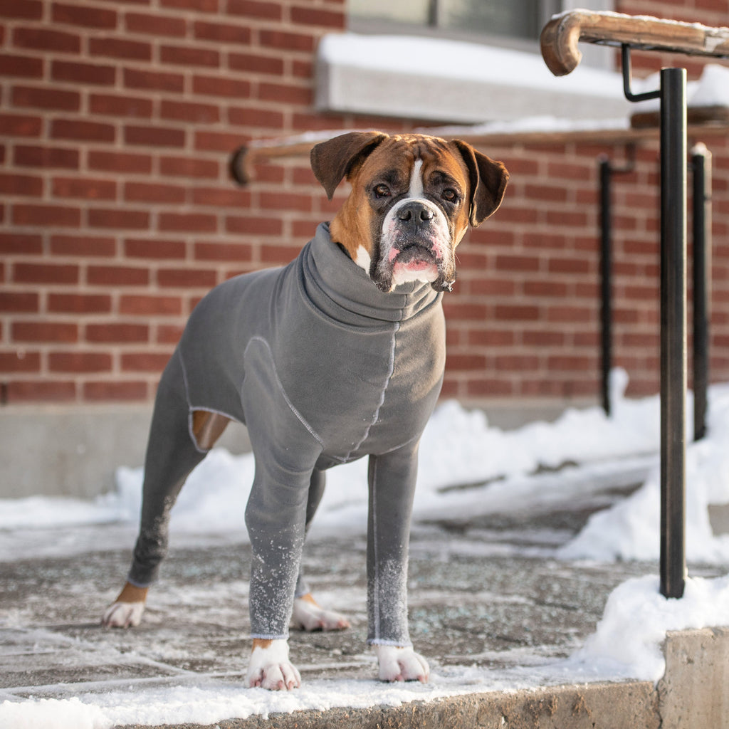Gondola Onesie - Charcoal by GF Pet.us