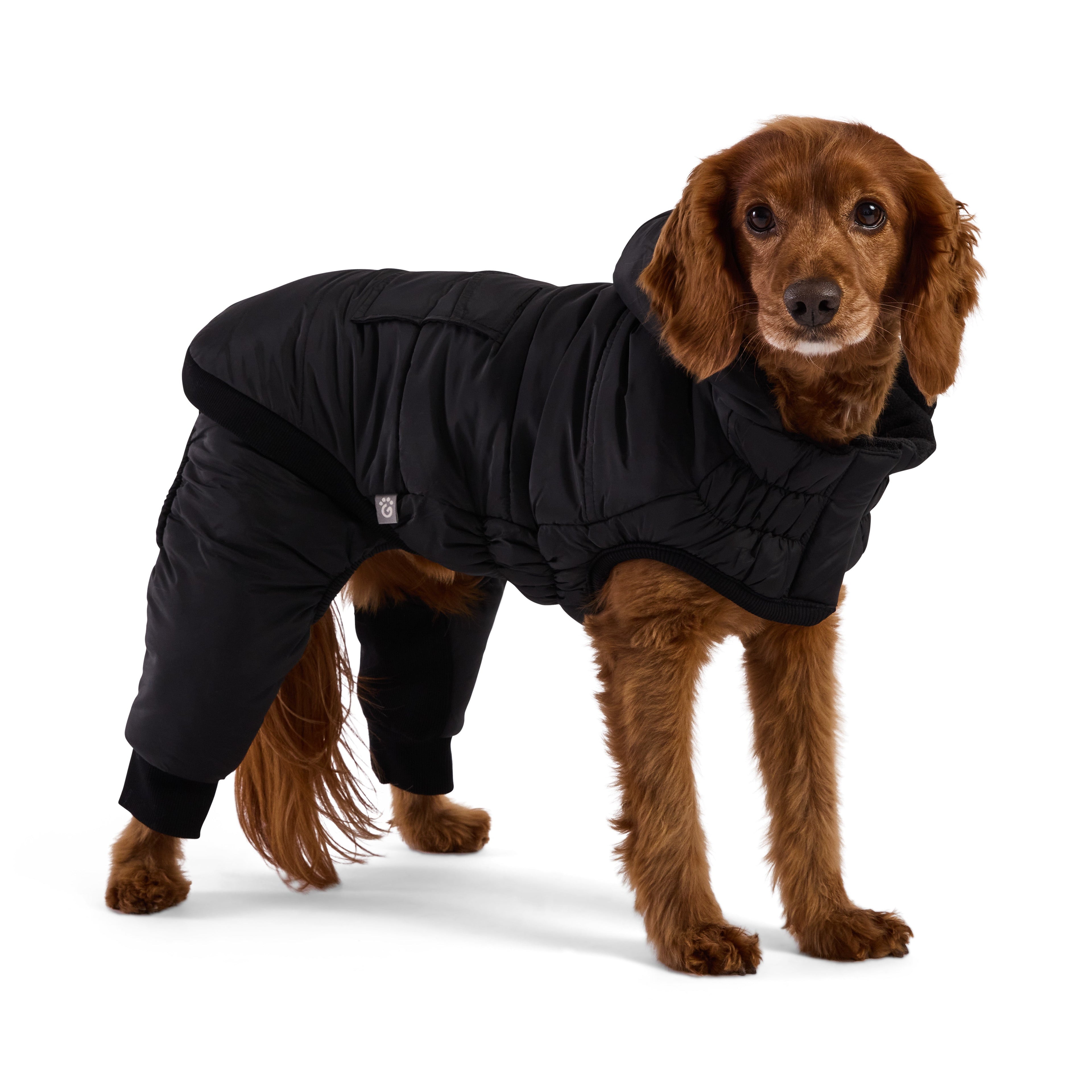 Odyssey Snowsuit by GF Pet.us