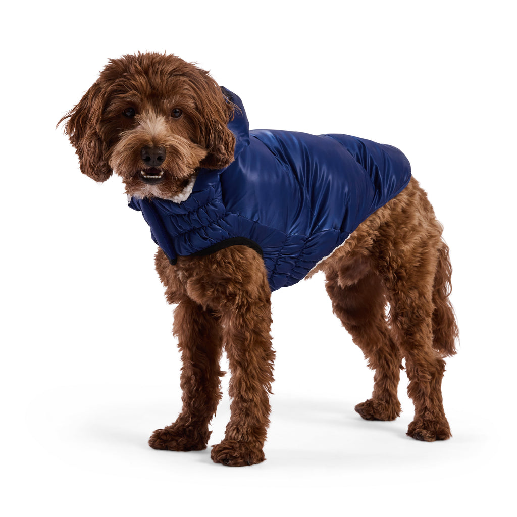 Lunar Glow Parka by GF Pet.us