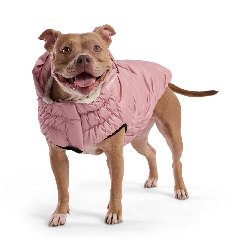 Lunar Glow Parka by GF Pet.us