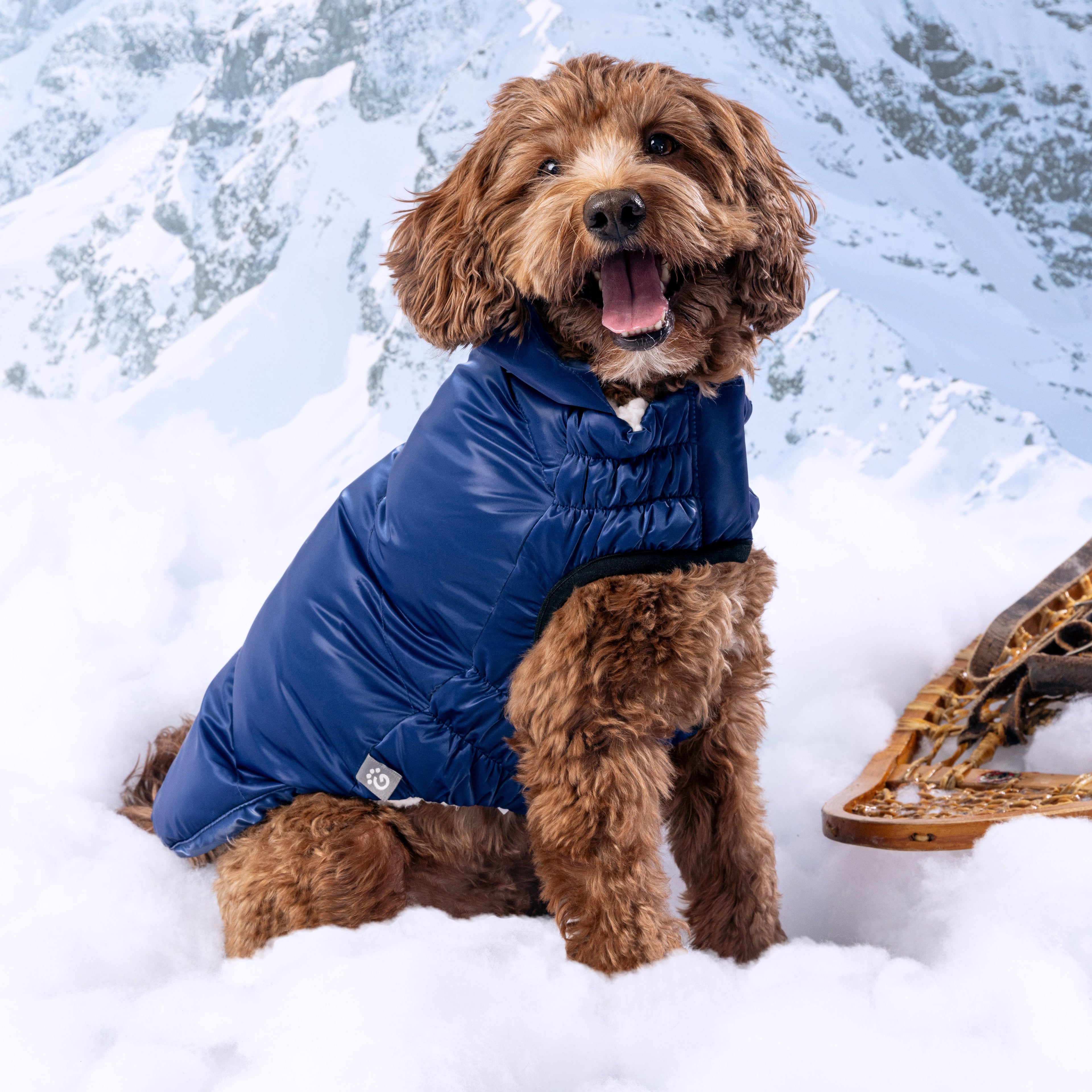 Lunar Glow Parka by GF Pet.us