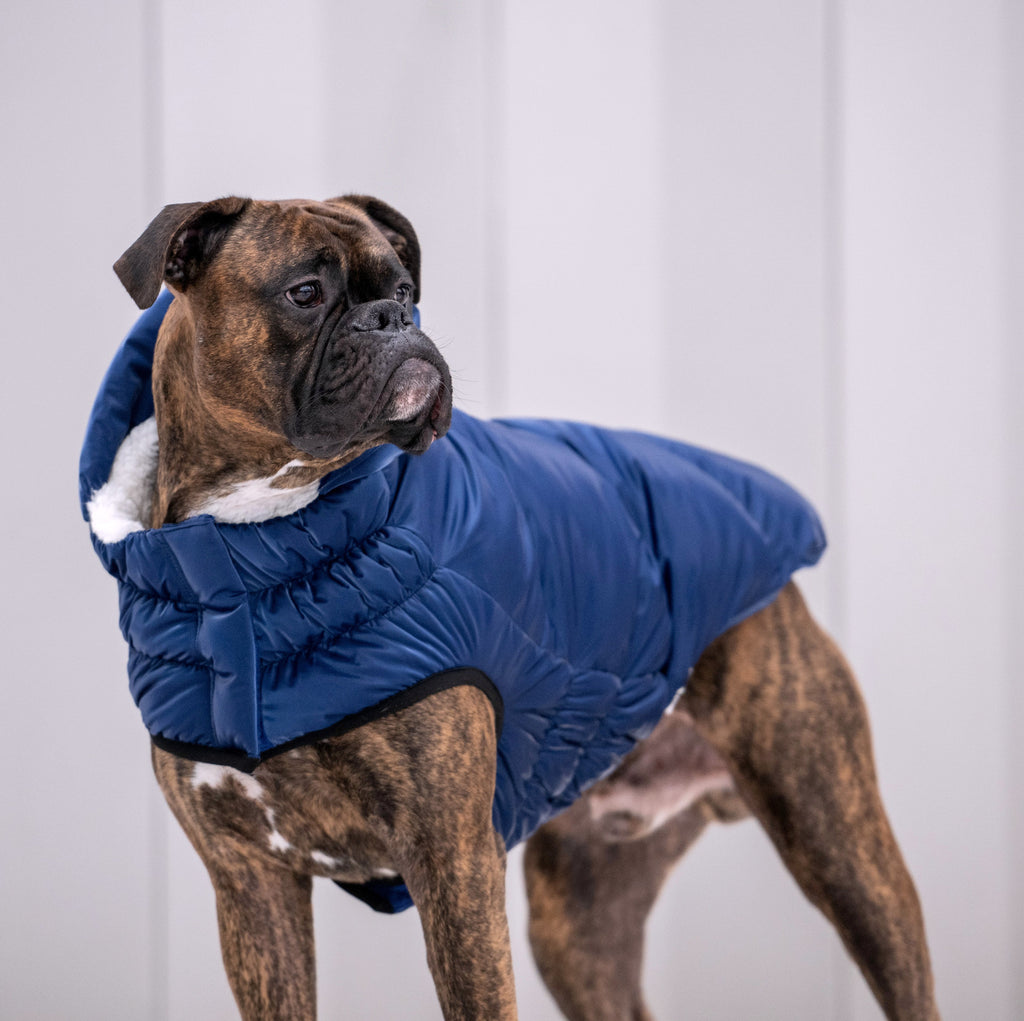 Lunar Glow Parka by GF Pet.us