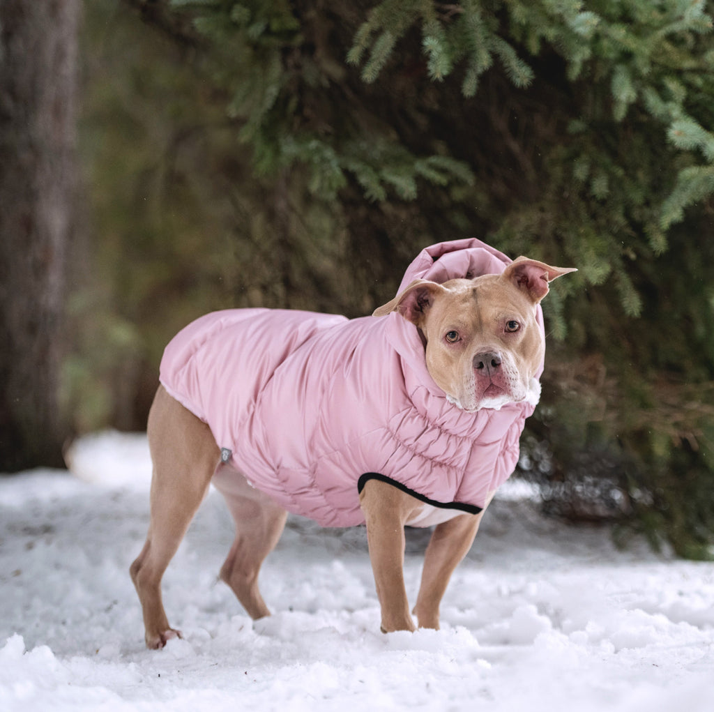 Lunar Glow Parka by GF Pet.us
