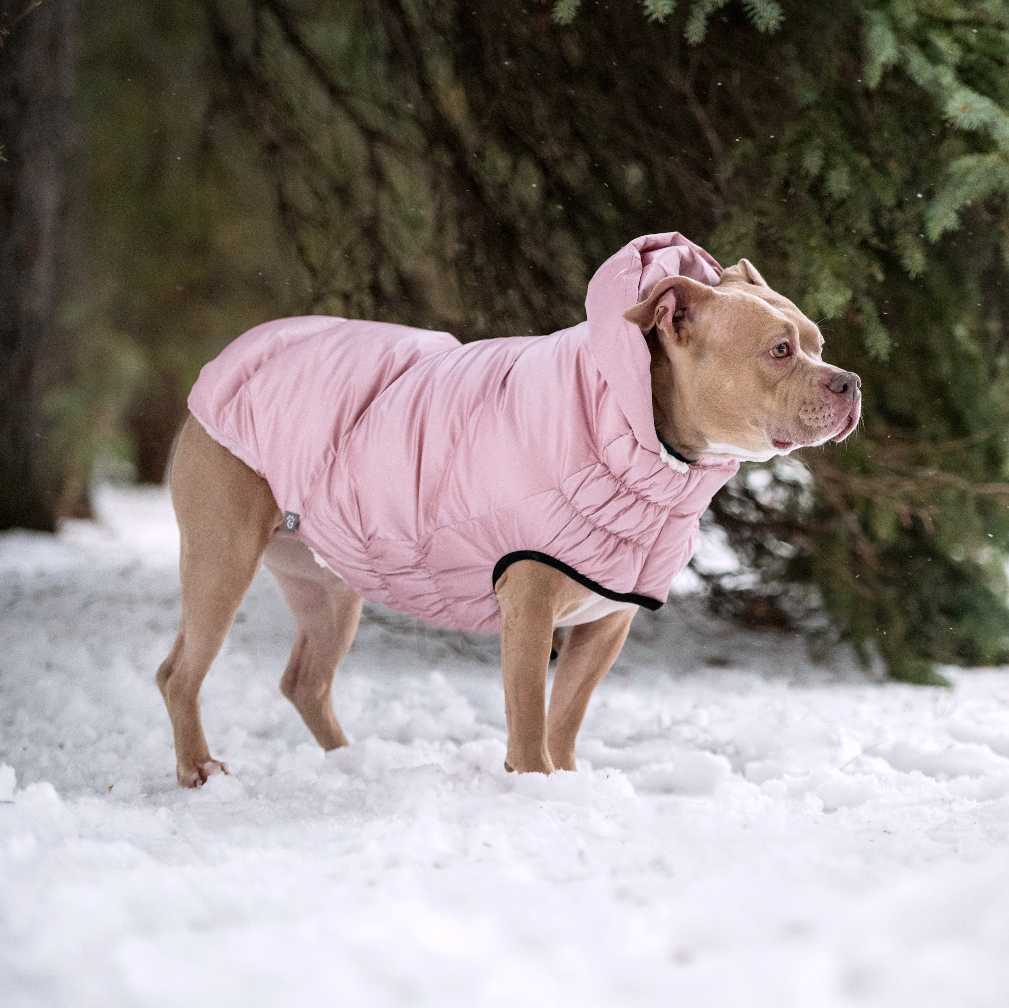Lunar Glow Parka by GF Pet.us