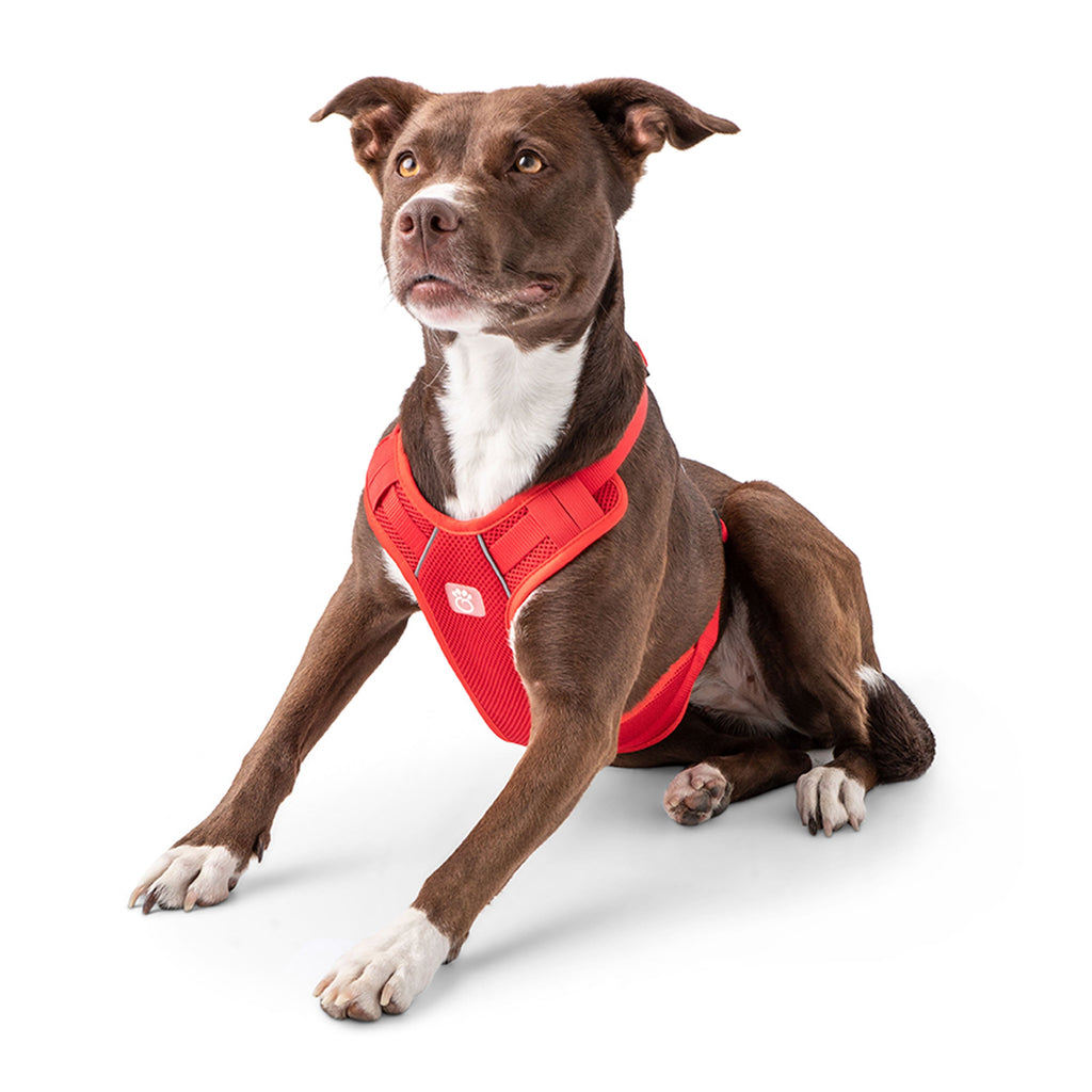 Travel Harness - Red by GF Pet.us