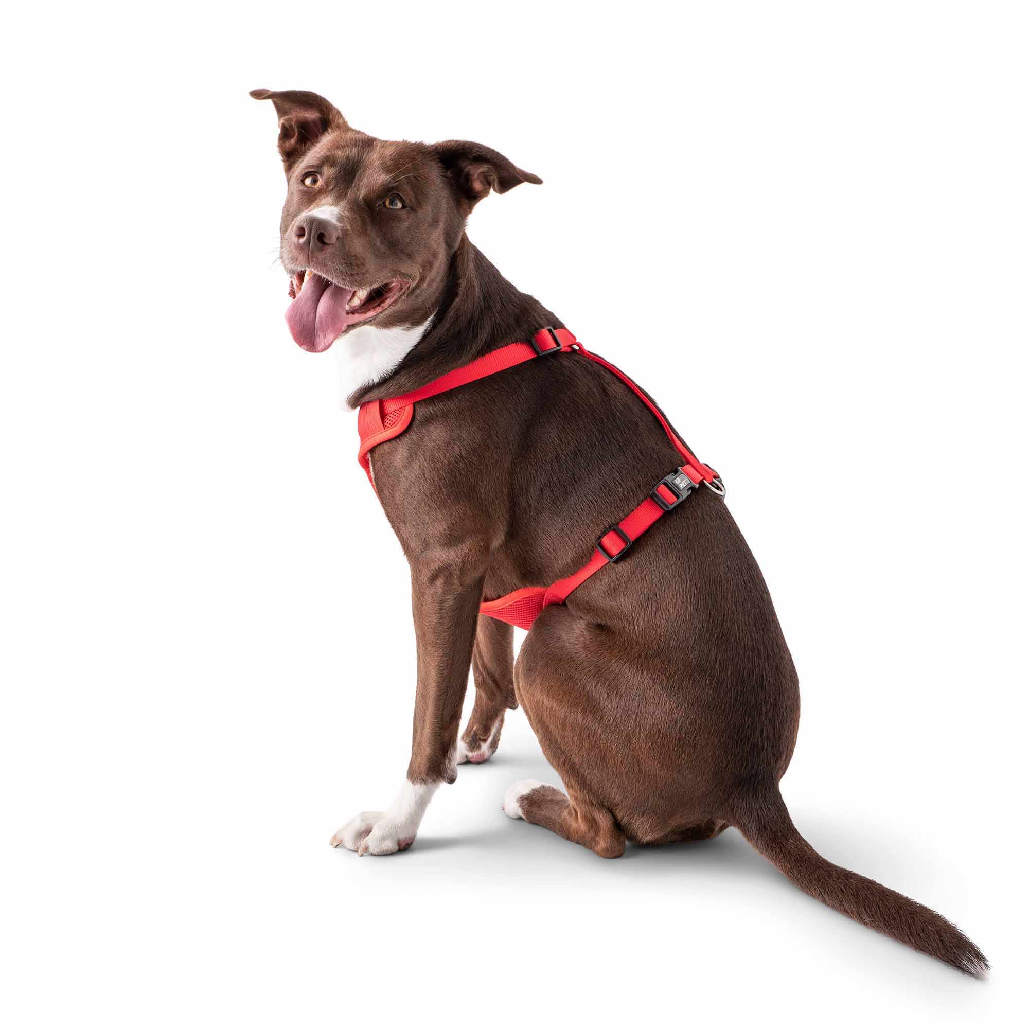 Travel Harness - Red by GF Pet.us