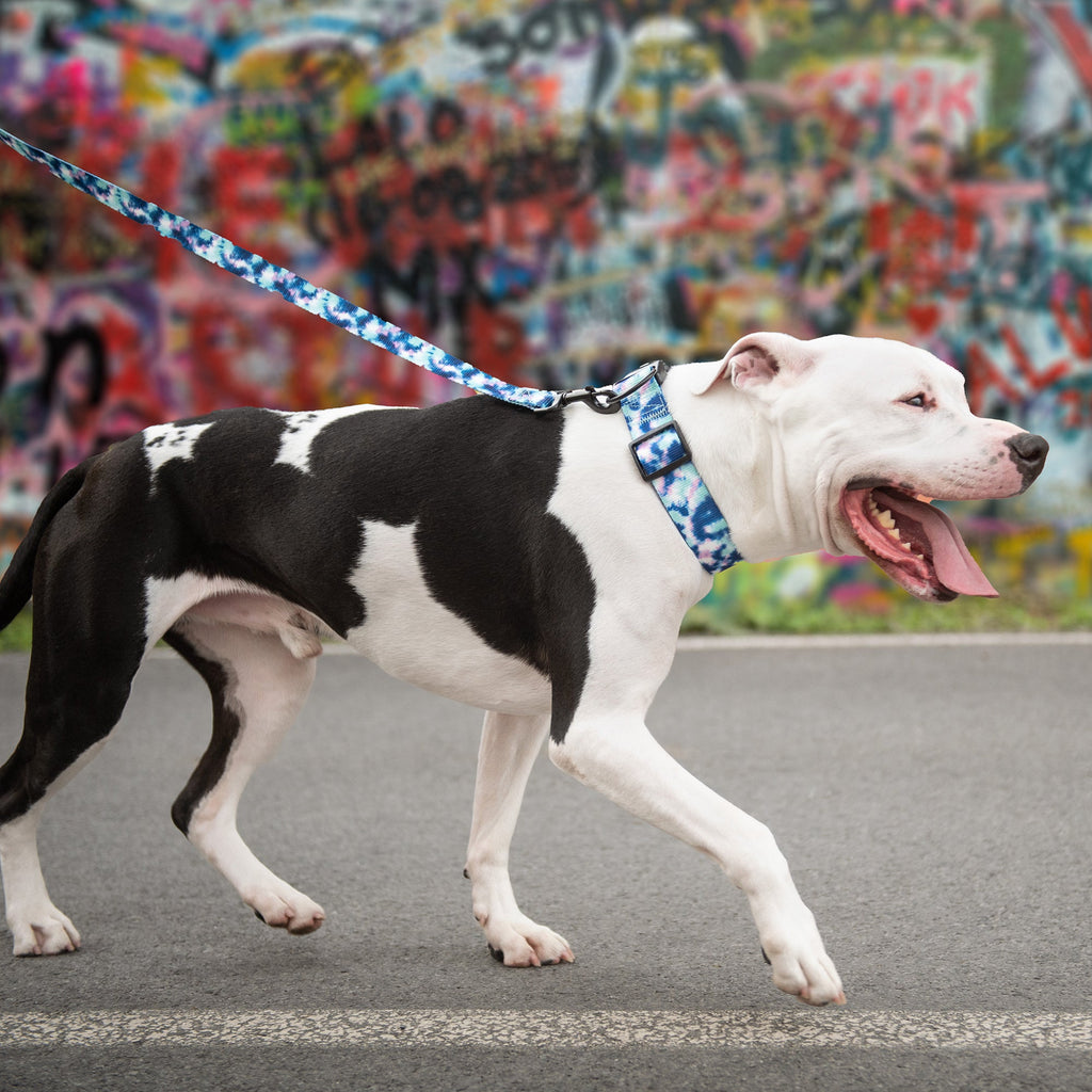Printed Leash - Tie Dye by GF Pet.us