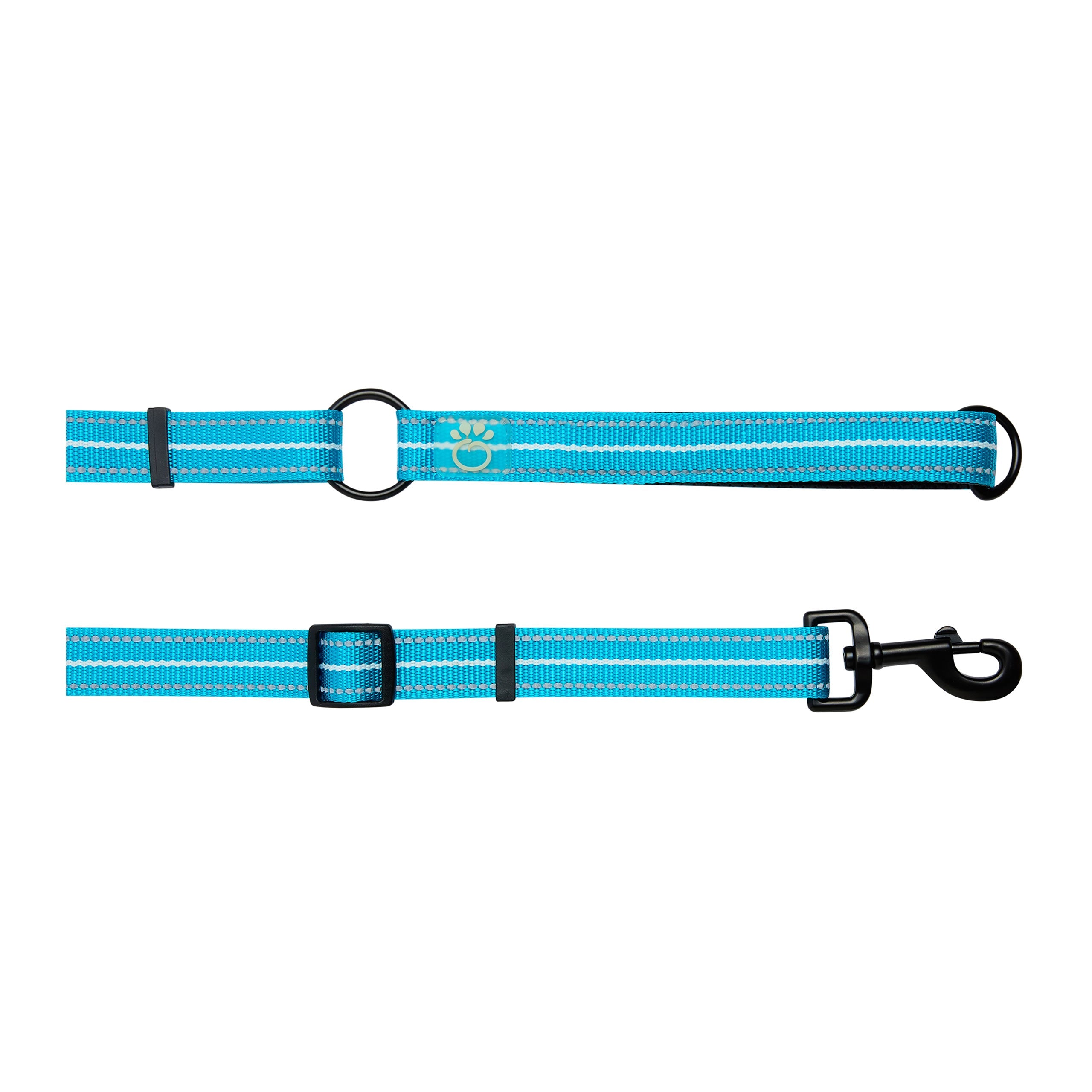 Reflective Leash - EEZY-6 - Neon Blue by GF Pet.us