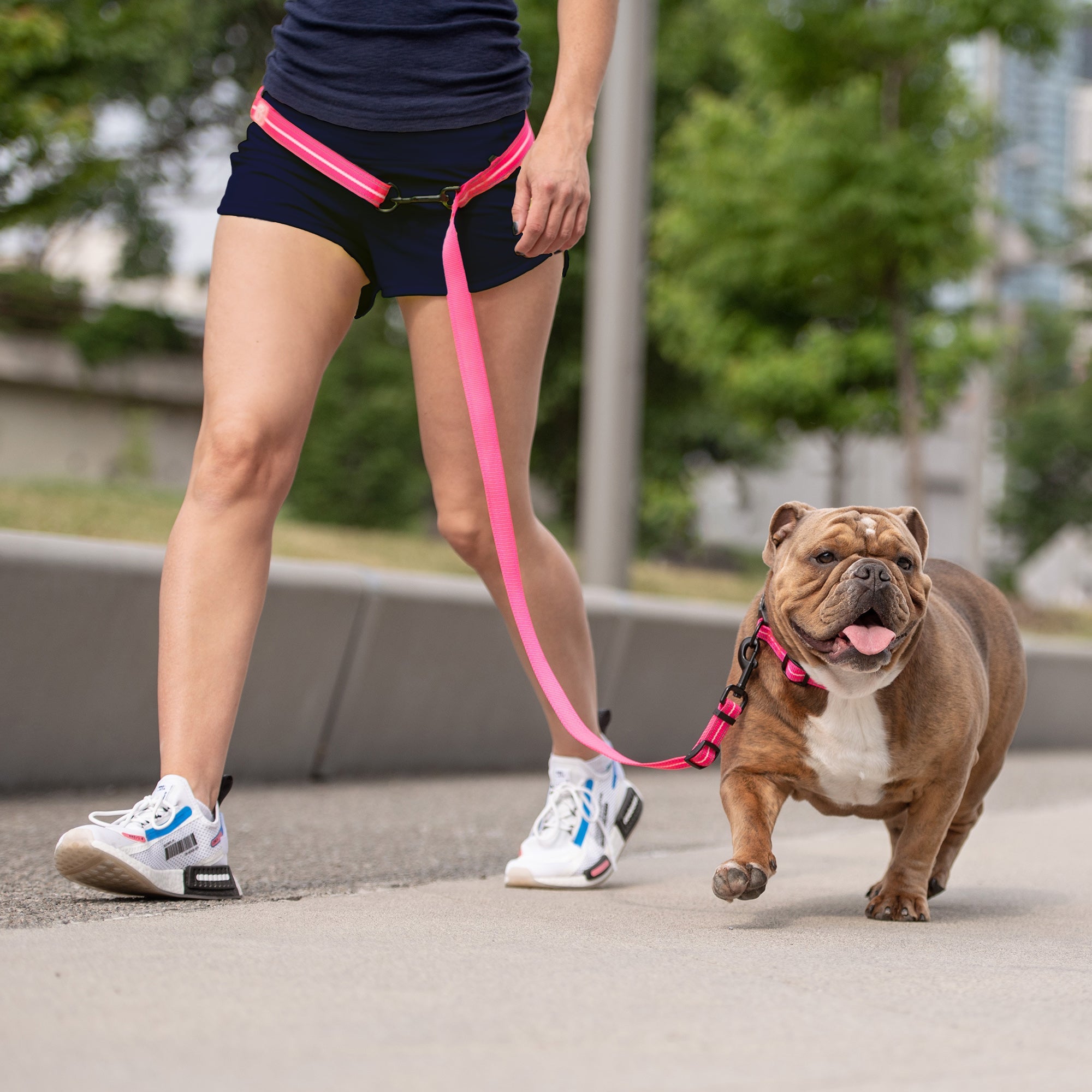 Reflective Leash - EEZY-6 - Neon Pink by GF Pet.us