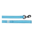 Reflective Leash - Neon Blue by GF Pet.us