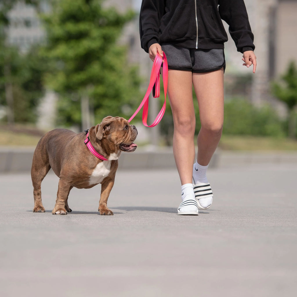 Reflective Leash - Neon Pink by GF Pet.us