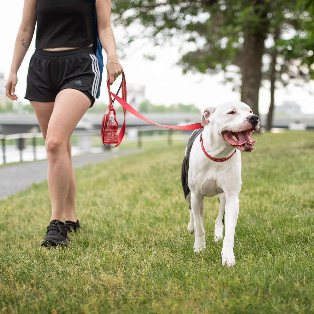 Reflective Leash - Red by GF Pet.us